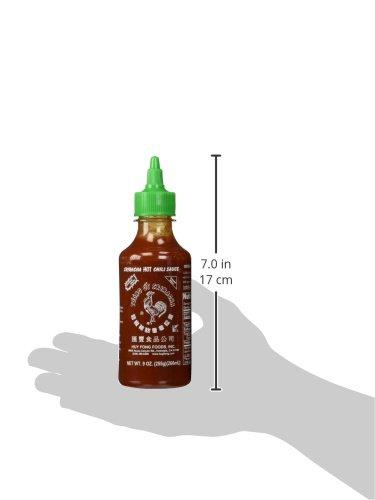 Huy Fong Sriracha Hot Chili Sauce Oz Bottle Pack Spicy Condiment For Extra Heat Buy Now