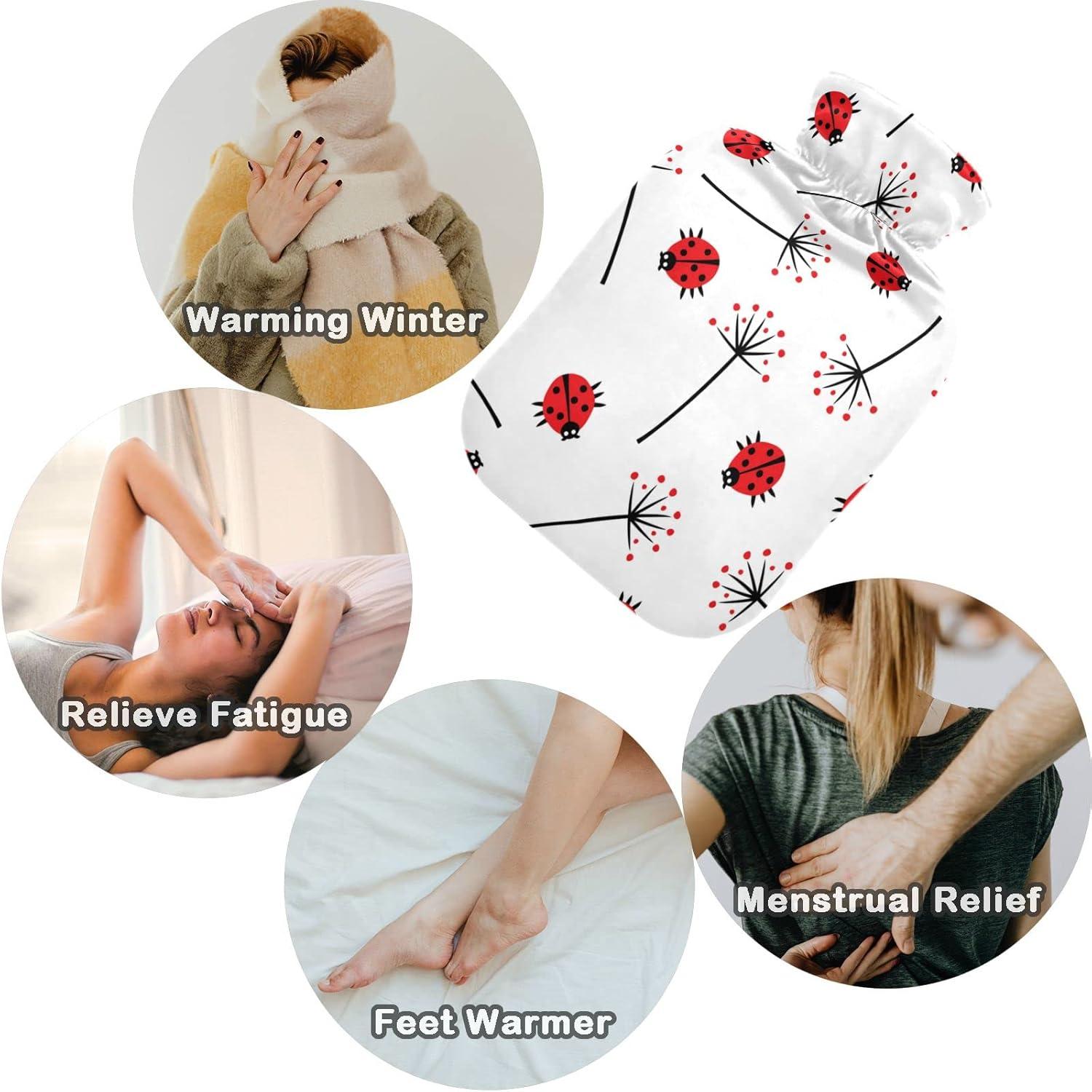 Buy Naanle Ladybug Hot Water Bottle L Transparent Pain Relief For Cramps Cold Therapy