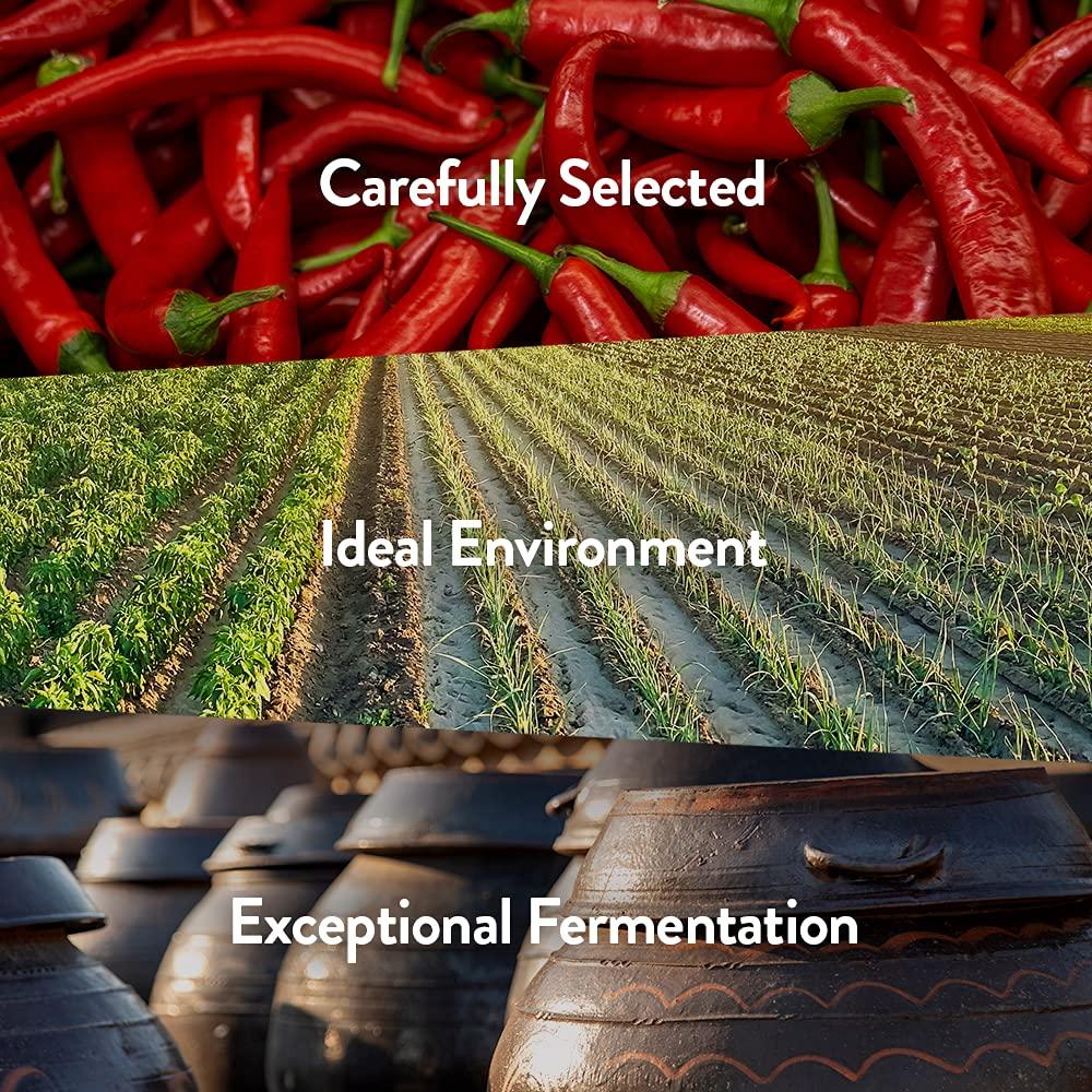 Chung Jung One O Food Medium Hot Pepper Paste Gold Gochujang G Korean Traditional