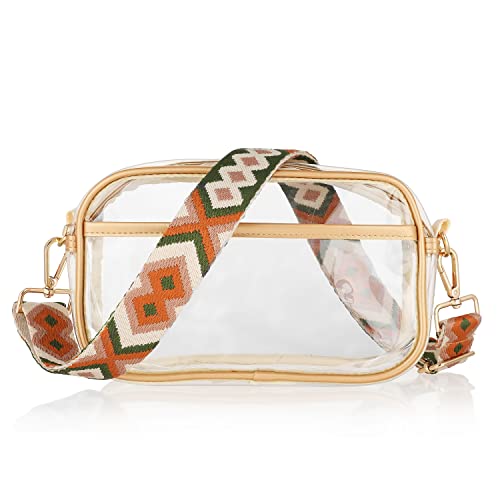 louis vuitton clear crossbody