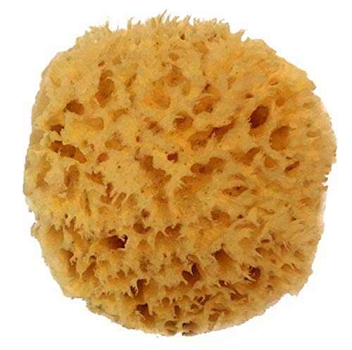 Natural Sea Wool Sponge 4-5 by Spa Destinations Amazing Natural Renewable  ResourceCreating The in Perfect