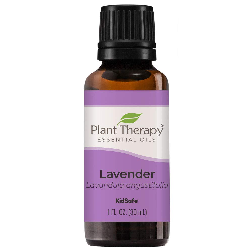 Plant Therapy Lavender Essential Oil 100% Pure, Undiluted, Natural  Aromatherapy, Therapeutic Grade 30 mL (1