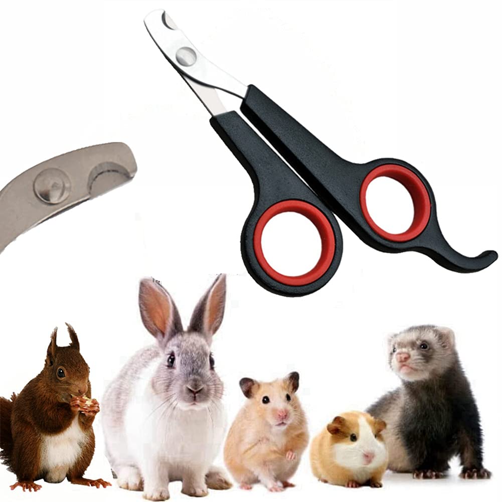 IOKHEIRA Cat Nail Trimmers, Cat Nail Clipper for India | Ubuy