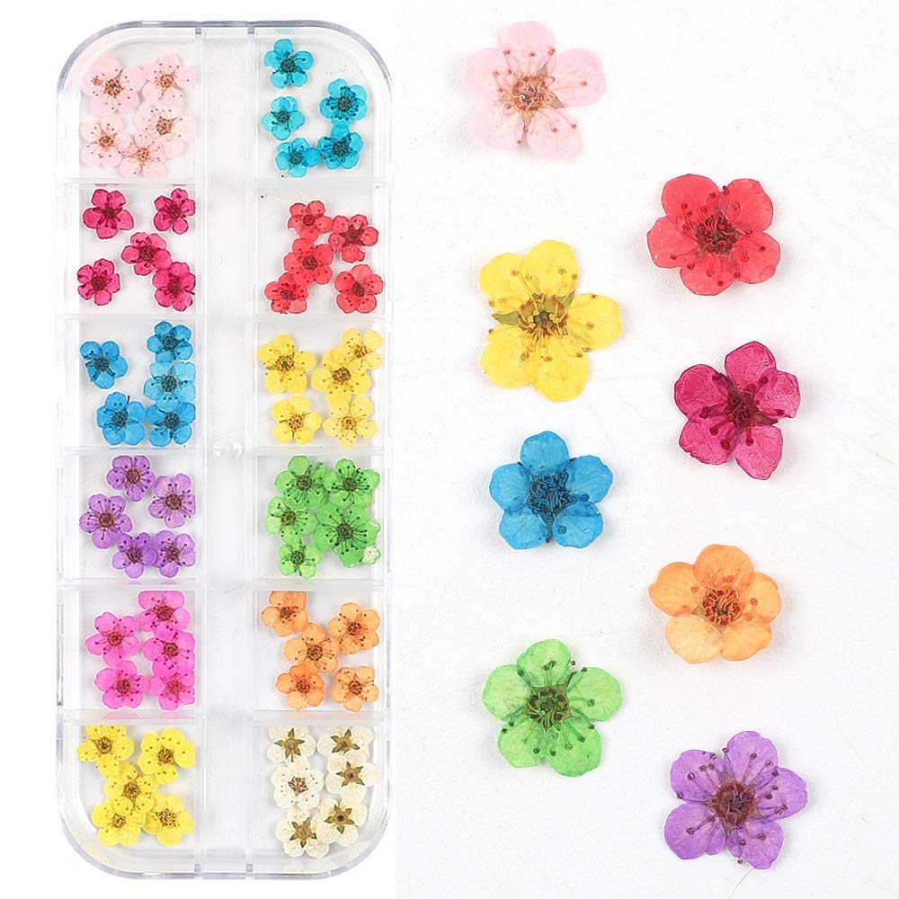 Lurrose Facial Dry Flower Stickers Decorative Applique Natural Flower Decals Environmentally Friendly Floral Stickers for All Age