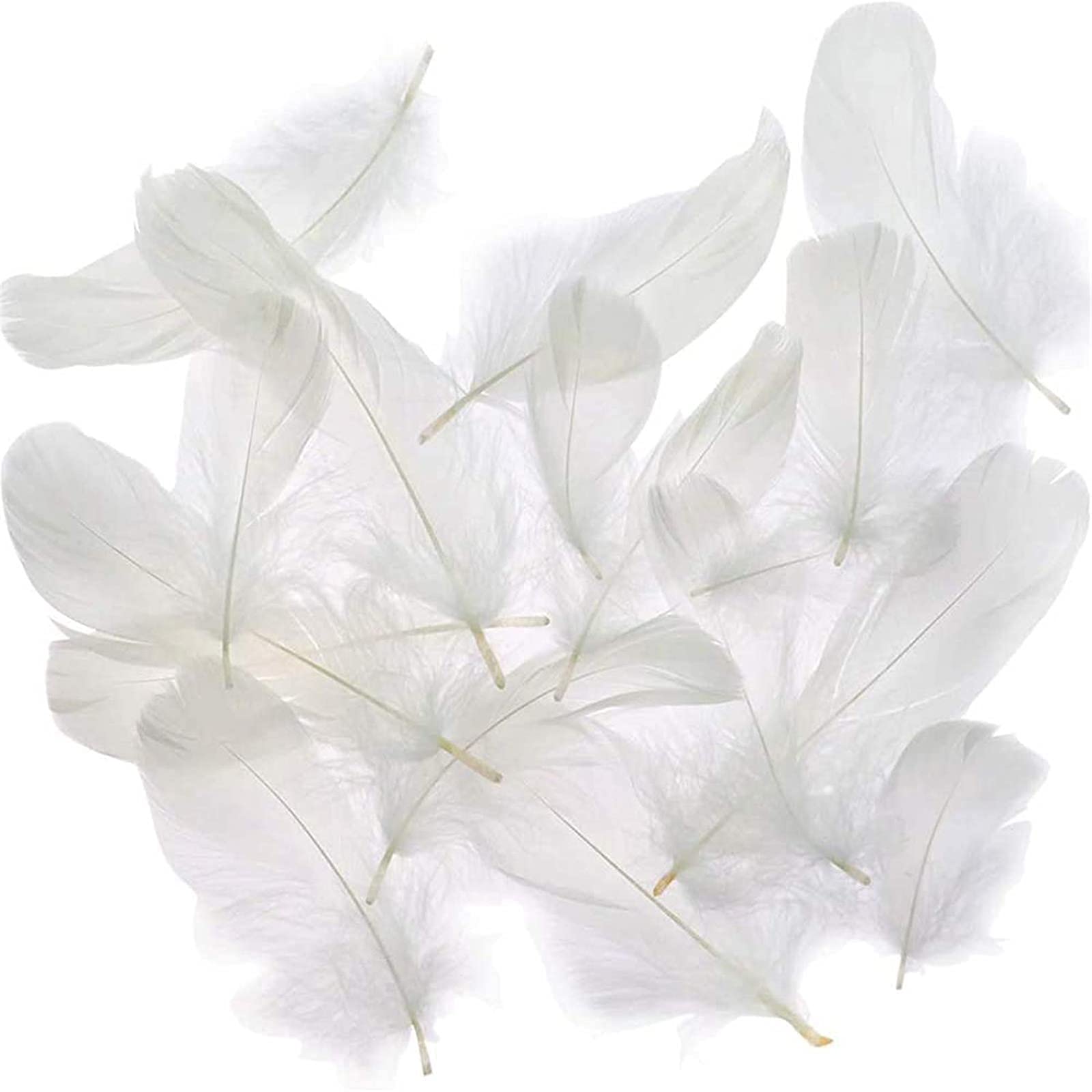 Coceca 500pcs 3-5 Inches White Feathers for DIY Craft Wedding Home Party  Decorations