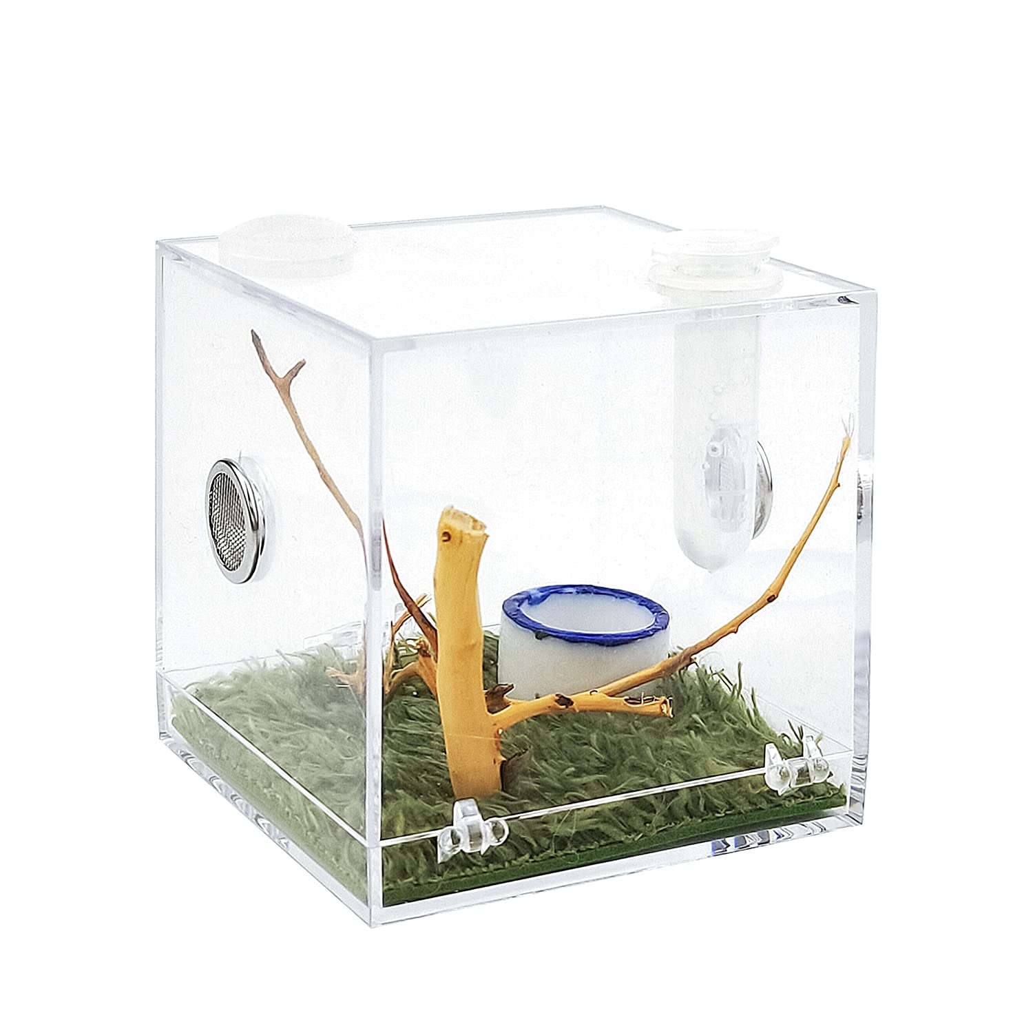 Spider Jumping Breeding Box Small Clear Container Enclosure