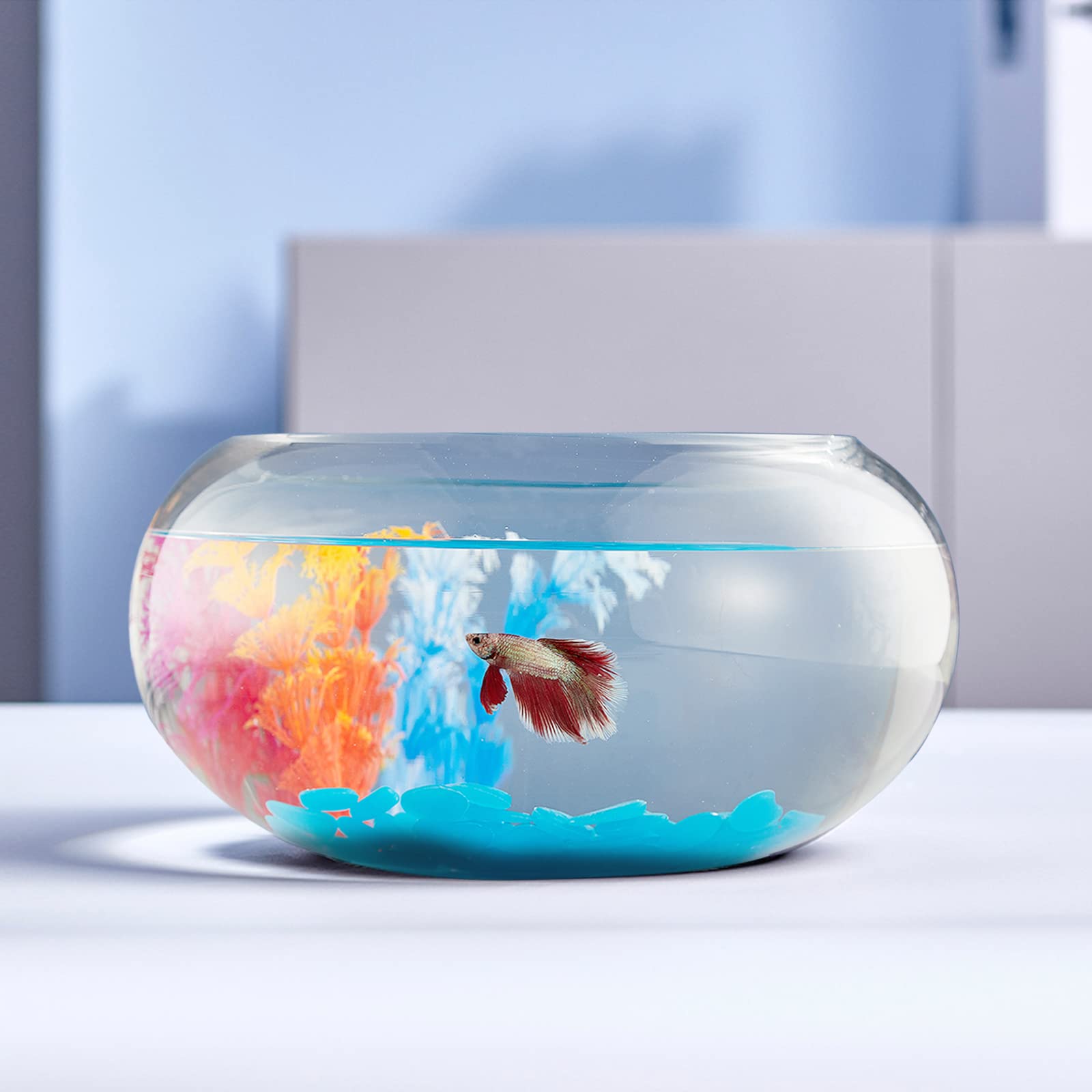 LAQUAL 2 Gallon Glass Fish Bowl with Decor, Include Fluorescent Stones &  Colorful Plastic Trees, High