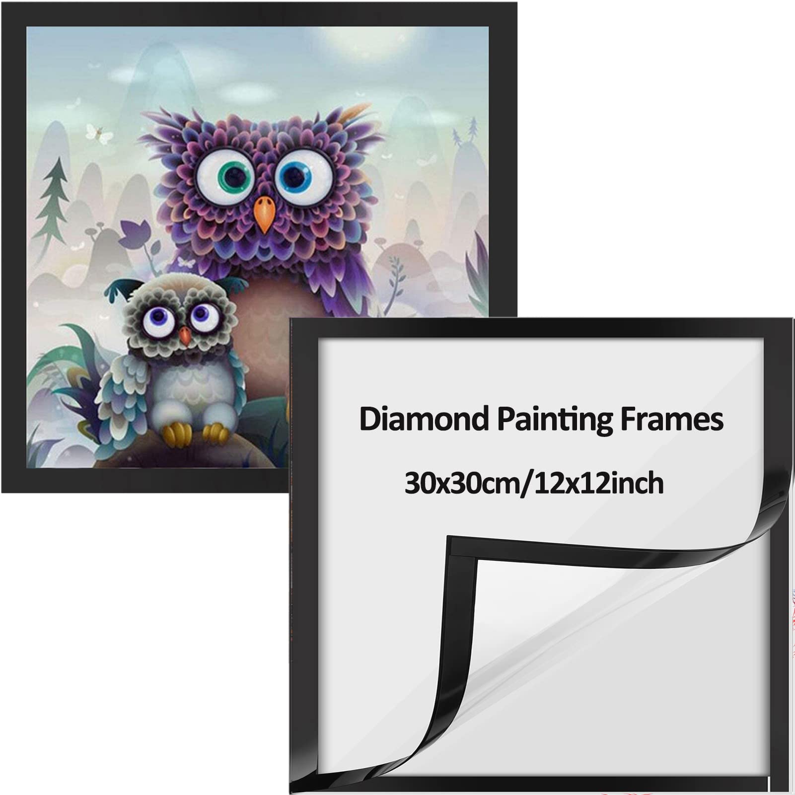 RICUVED 2 Pack Diamond Painting Frames Frames for Diamond Painting Pictures  30x30cm Canvas Size (Inner Size 24.5x24.5cm) Magnetic Frames Self-Adhesive  Diamond Art Frames for Wall Window Door Black