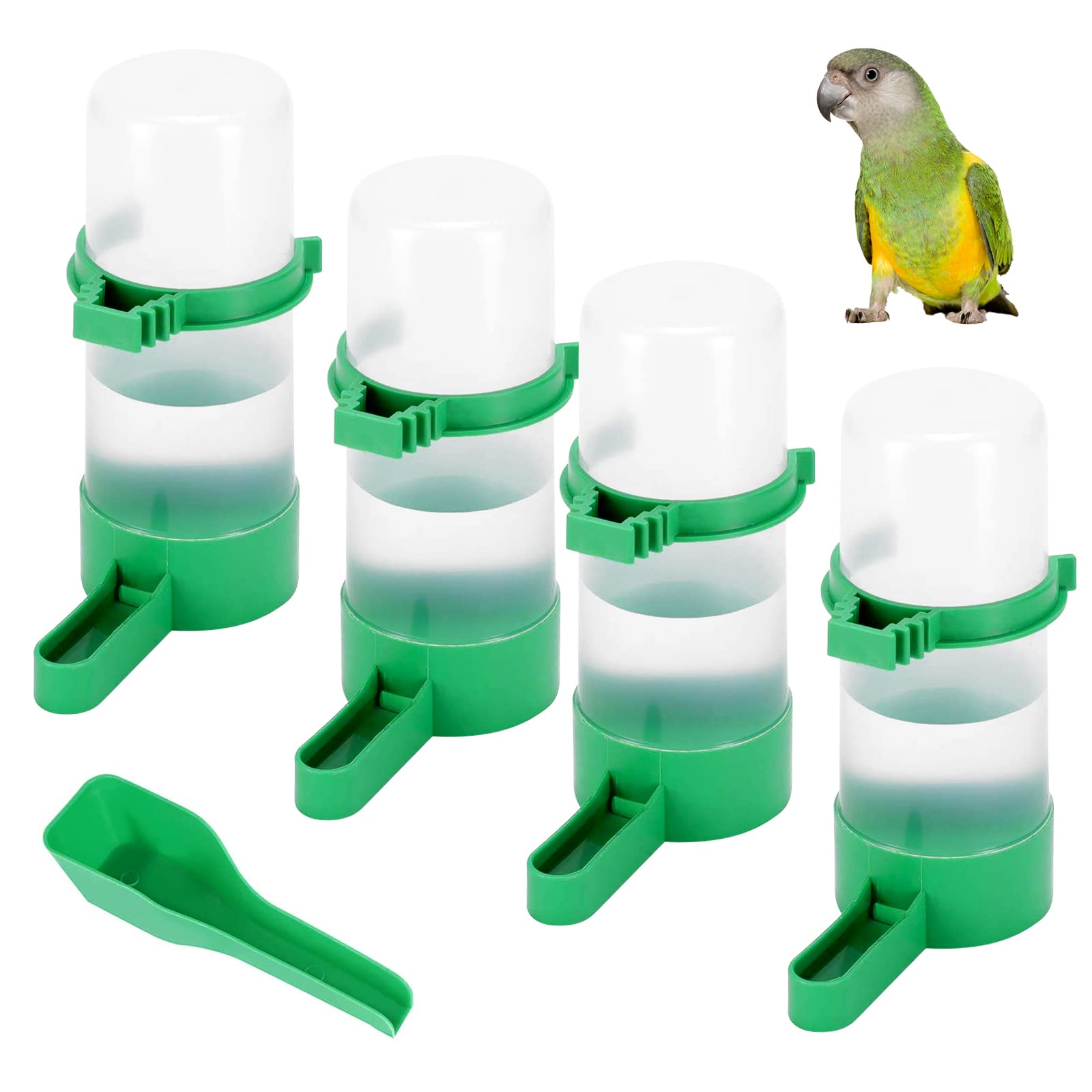 Bird Water Feeder