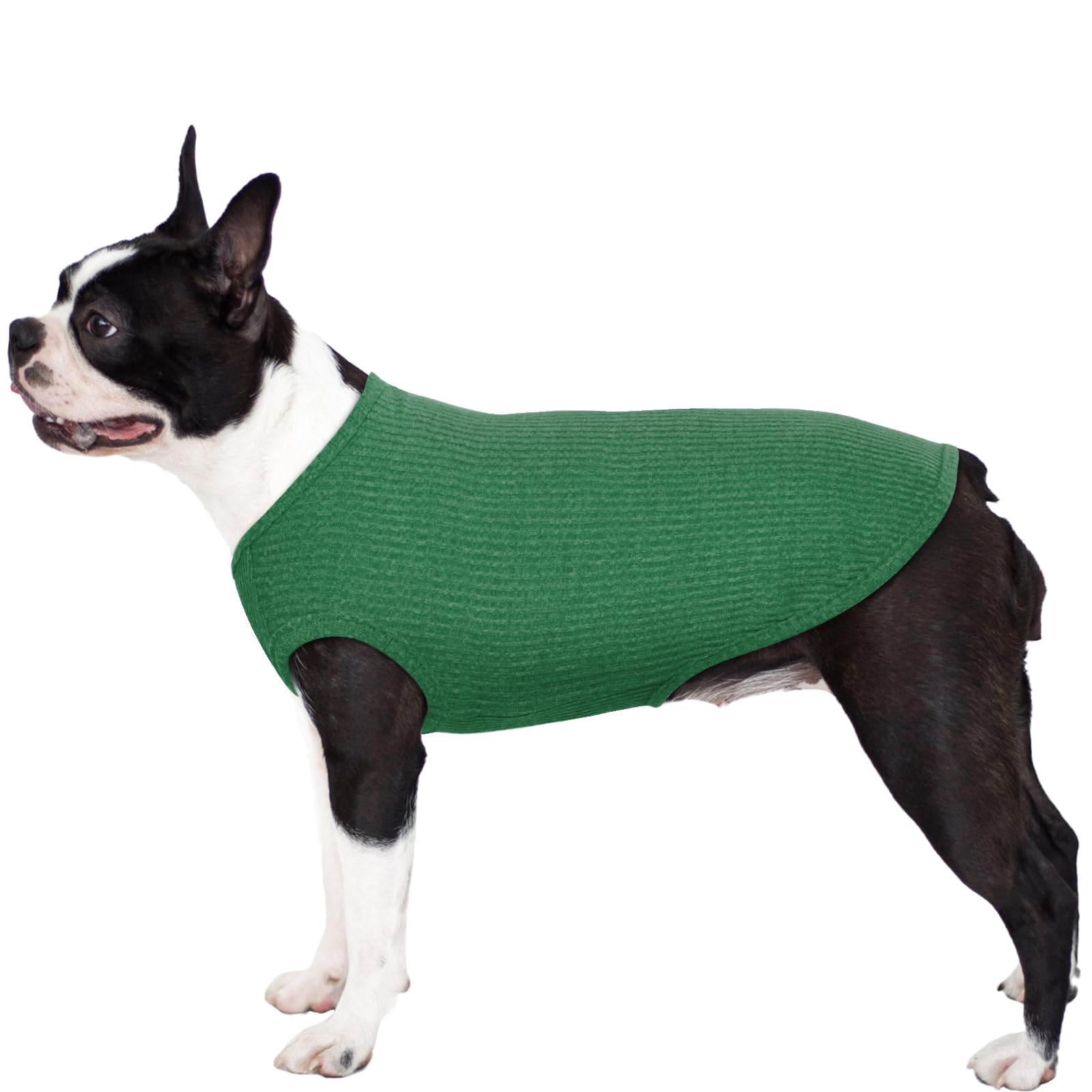 Shop Hjumarayan Medium-Sized Dog Sweater - Thin Washable Elastic & Fleece for Corgis & Dachshunds - Striped Design in Emerald Green | Buy Now with Express International Delivery | GoSupps.com Shop Hjumarayan Medium-Sized Dog Sweater - Thin Washable Elastic & Fleece for Corgis & Dachshunds - Striped Design in Emerald Green | Buy Now with Express International Delivery | GoSupps.com