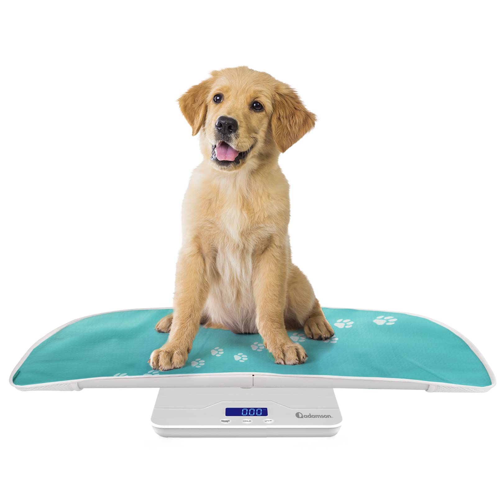 Adamson A50 Pet and Baby Scale - New 2023 - Digital Pet Scale for Cats Dogs  Rabbits Puppies Adults - Small Animal Scale - Great for  Newborn/Underweight/Premature - Up to 220 lb / 100 kg