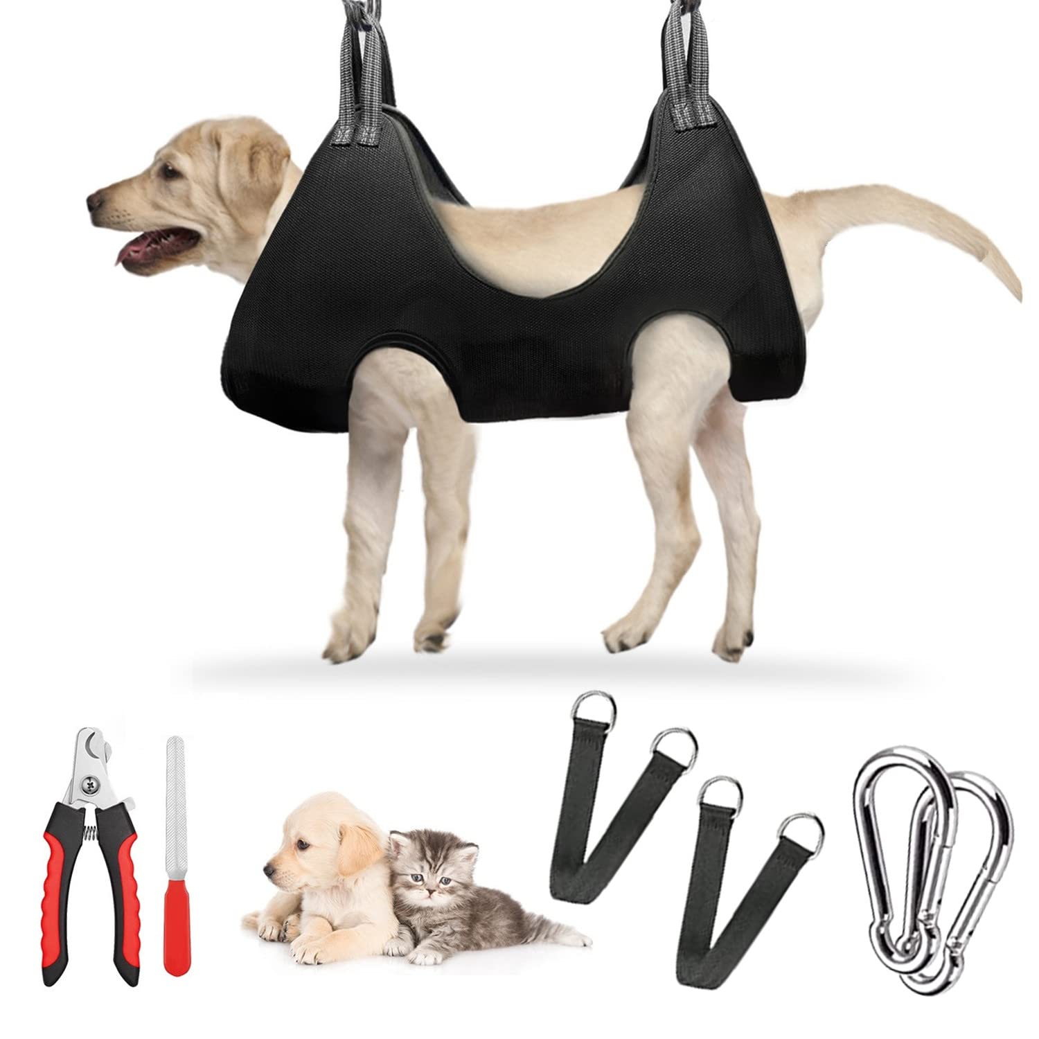 Pet Grooming Hammock / Sling for Nail Trimming – Dach Everywhere