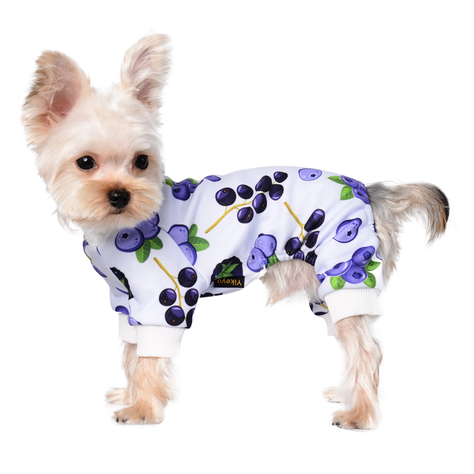 Dog Pajamas for Small Dogs Girl Boy Puppy Pjs Fall Winter Pet Onesies for  Chihuahua Teacup Cute Blueberry Soft Material Stretch Able Cat Clothes  Outfit Apparel Doggy Jumpsuit (X-Small Bust 12.20) X-Small (
