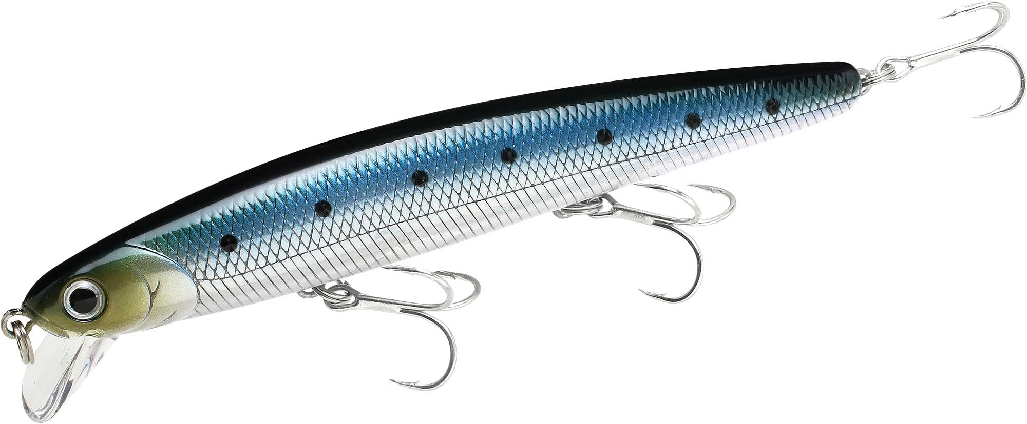 クォリティライフ Lucky\"fish”Sardine $_57.JPG?set_id=880000500F