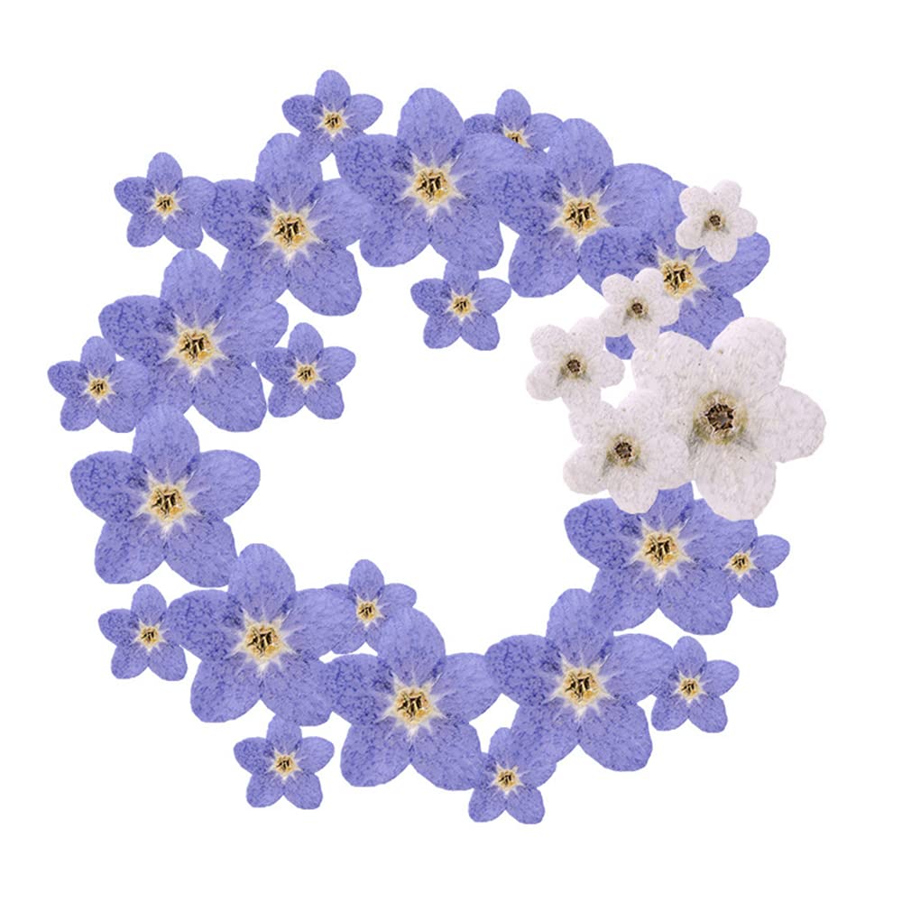 Flower Post Forget Me Not - Set #RP036