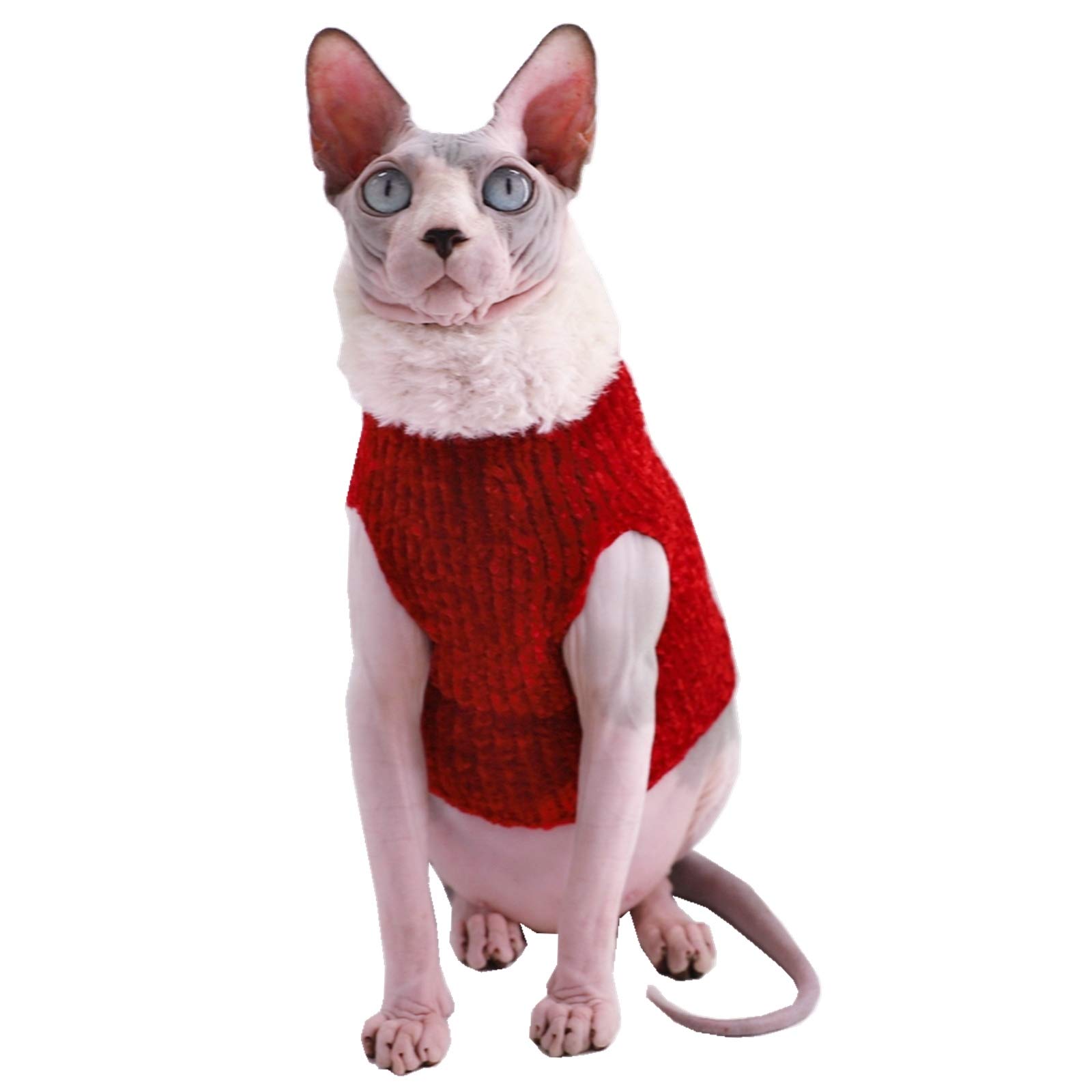 Luxury Cat Sweater Warm Clothes for Cat Sphynx Cat Coat -  Israel