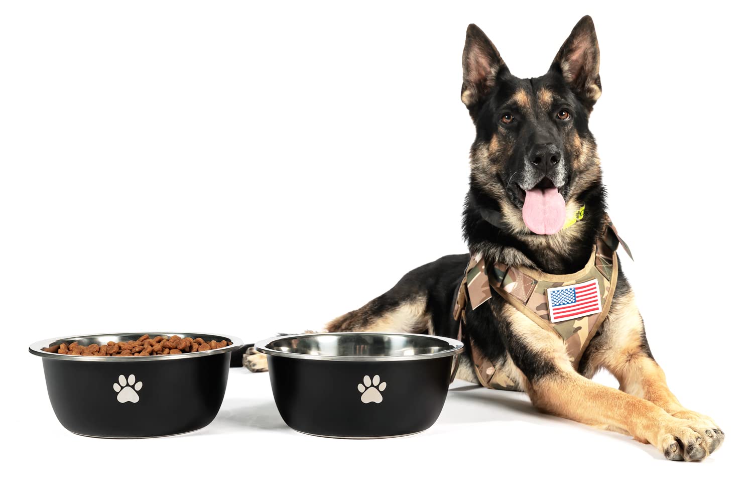 Podinor Large Dog Water Bowl 2 Pack, 170oz Stainless Steel Extra Large Dog  Food Bowl for Big Giant Dogs