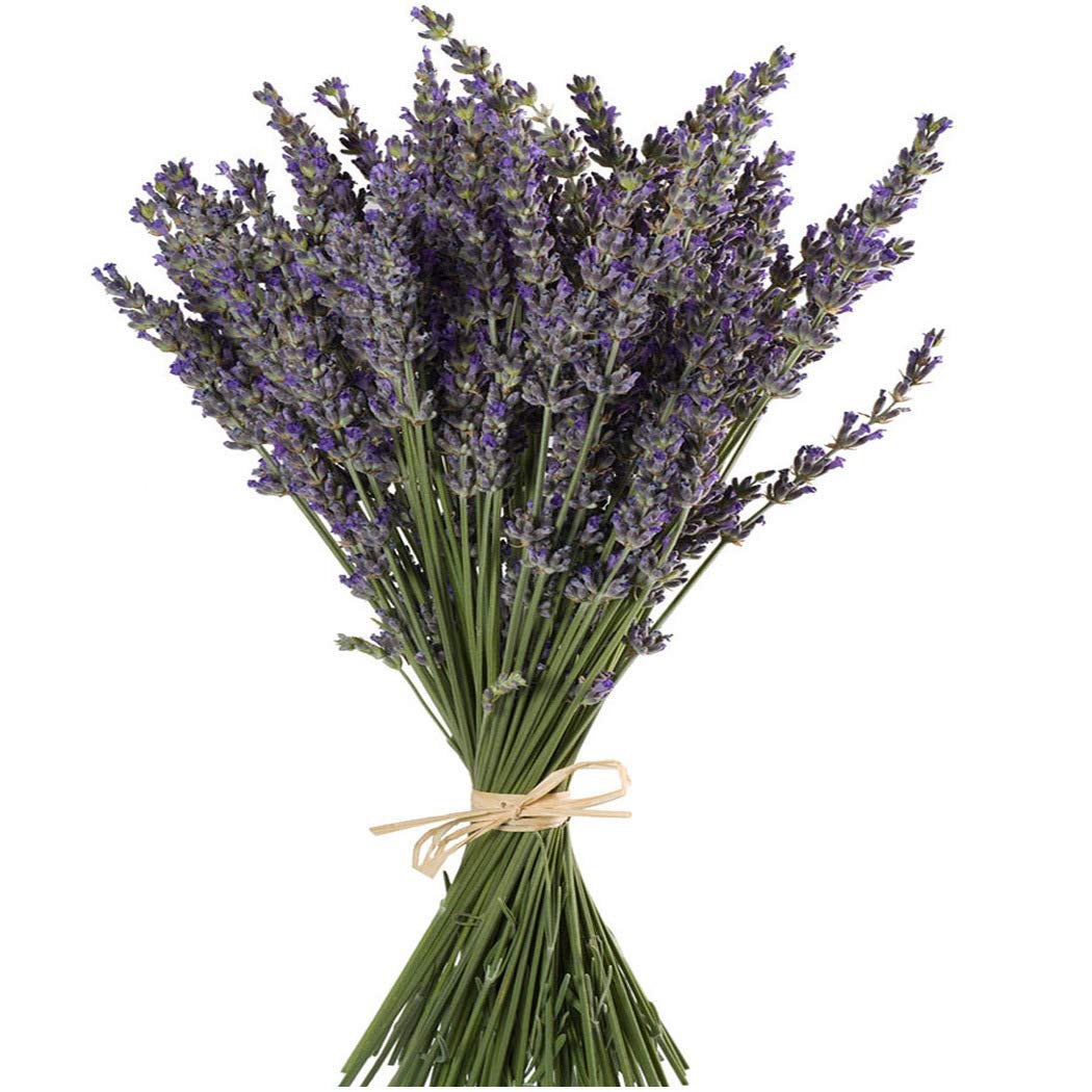 Dried Lavender Flowers  Lush Fresh Handmade Cosmetics Philippines