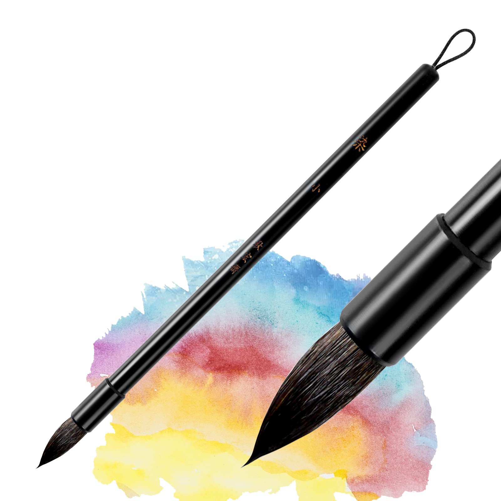 LIGHTWISH Watercolor Brushes Paint Brushes Mop Round Paintbrush for Art  Painting Art Supplies Illustration Animation and Rendering Professional  Watercolor Paint Brushes (RX12)