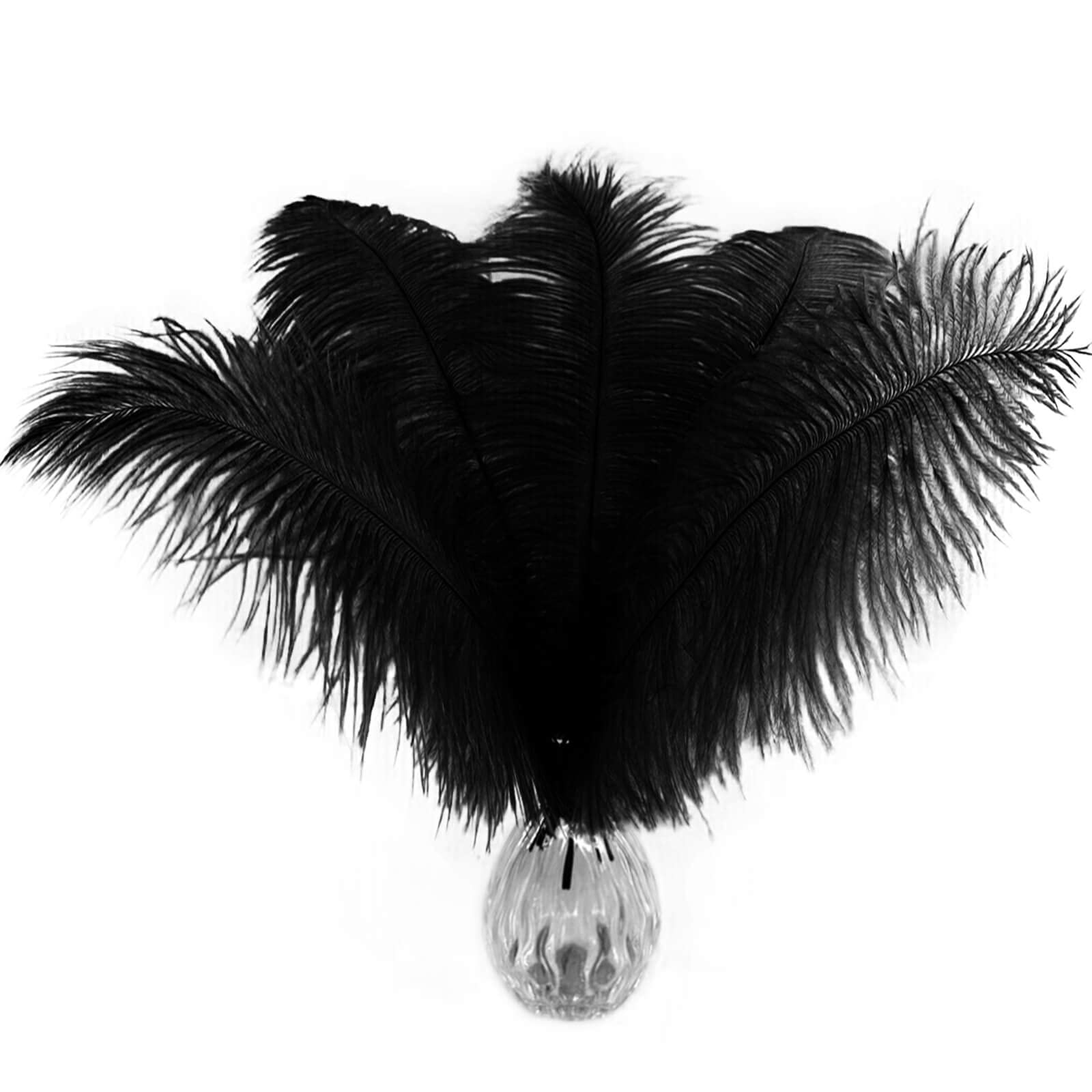Piokio 20 pcs Black Ostrich Feathers Plumes 12-14 inch(30-35 cm) Bulk for  DIY Halloween Decorations Wedding Party Centerpieces Gatsby Decorations  Black 20 pcs