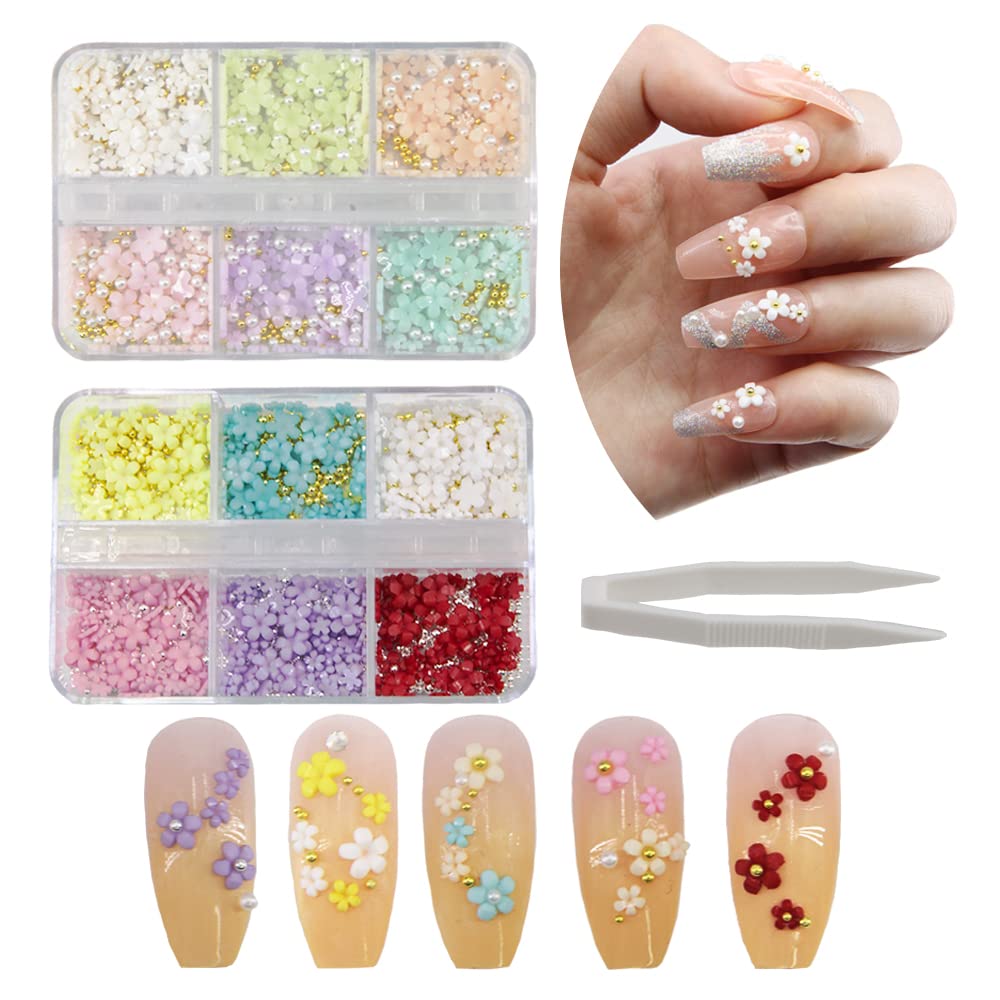12 Grids Flower Nail Charms for Acrylic Nails 3D Flowers for Nails Nail  Pearls Caviar Beads for Nails 3D Nail Charms for Nails Designs Crystals  Nail