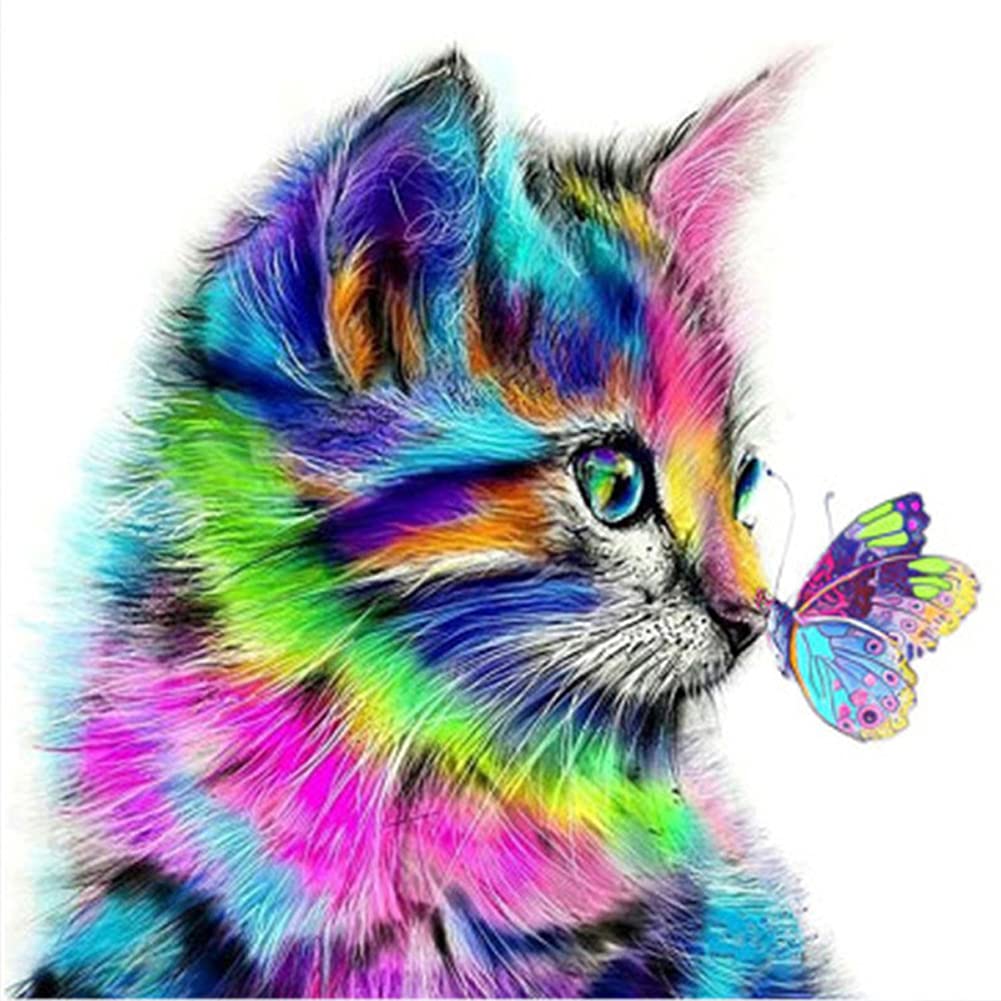 MISSIKAIN Diamond Painting Cat Butterfly DIY 5D Animal Diamond Art Painting  Kits for Adults Kids Beginners 12x12 inch Ideal Gifts for Family and  Friends C01 - CAT BUTTERFLY