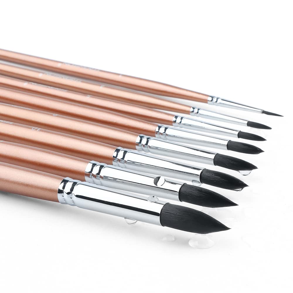 Paint Brush Set, 10 Pcs Paint Brushes for Acrylic Painting, Round Pointed  Tip Detail Small Paint Brush for Oil Watercolor Canvas Face Body Boards