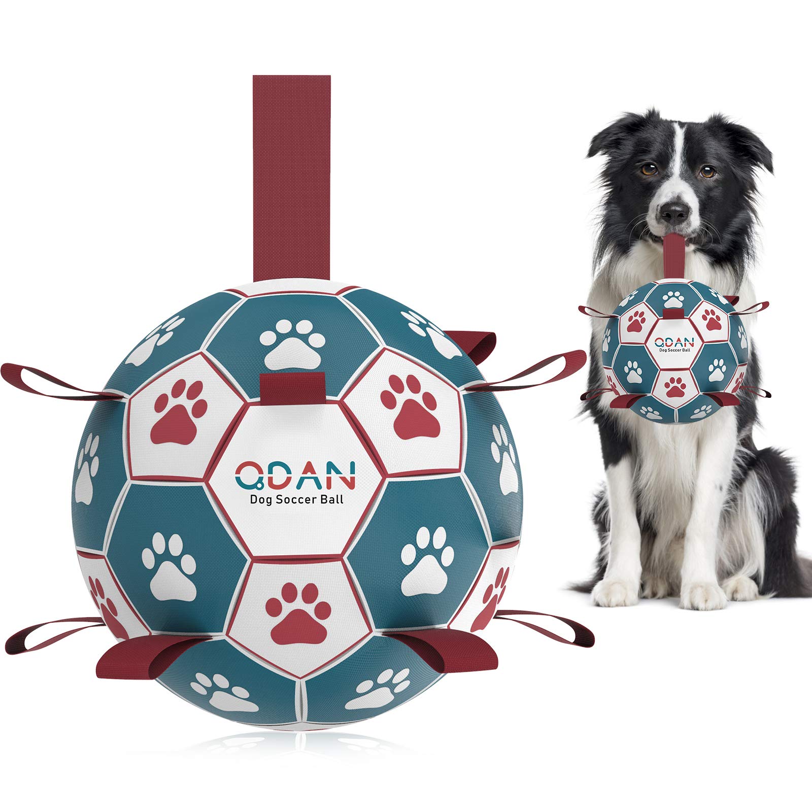 Pet Products Wholesaler Dog Football with Grab Handles, Interactive Dog Toy  for Tug of War Dog Toy Dog Water Toy Durable Dog Balls - China Dog Football  with Grab Handles and Durable