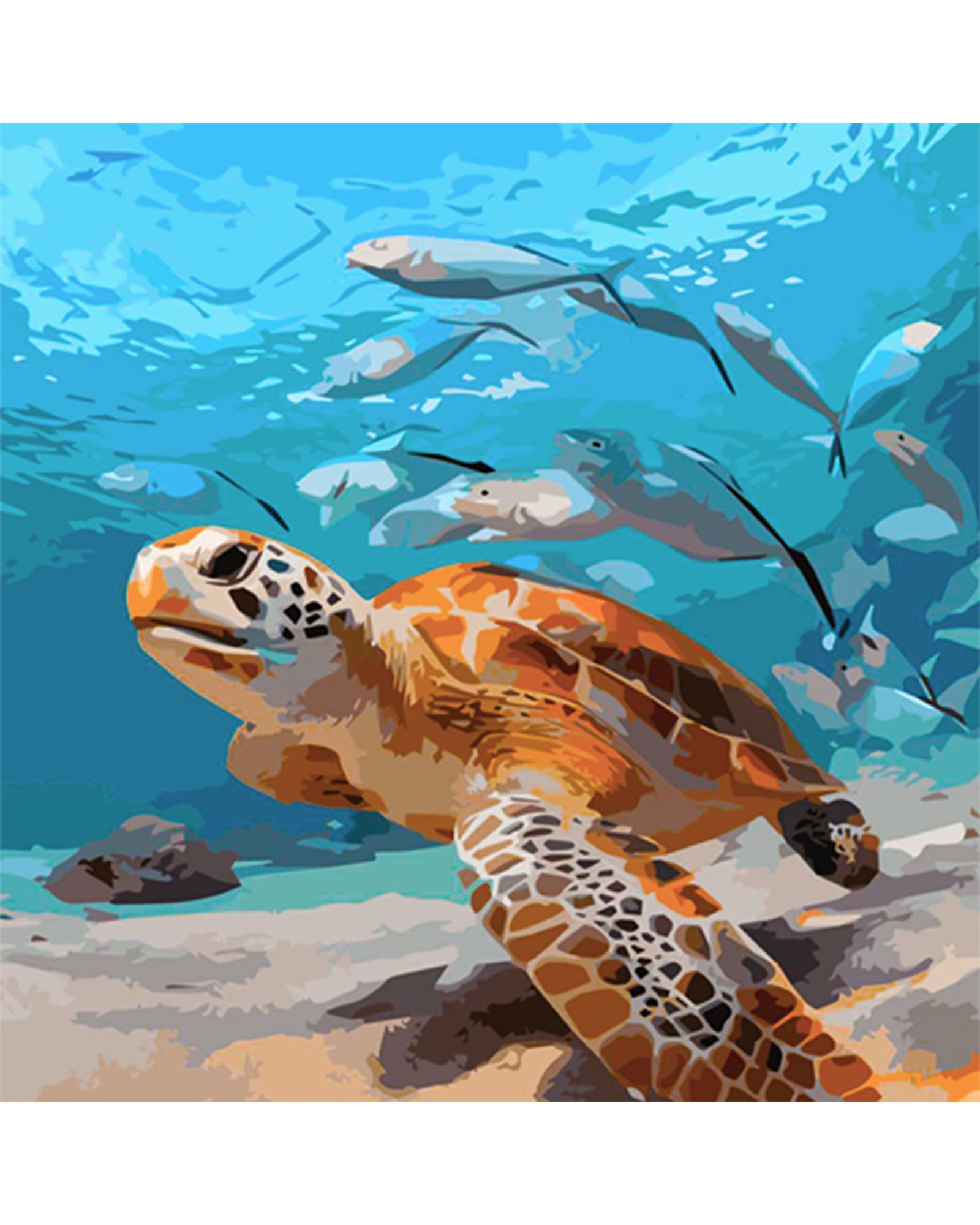 SNMUW Paint by Number for Adults Sea Turtle Adult Paint by Number Art Paint  by Numbers for Beginner Kids 16 x 16 Perfect for Gift Home Wall Decor Sea  Turtle 16x16 Inch