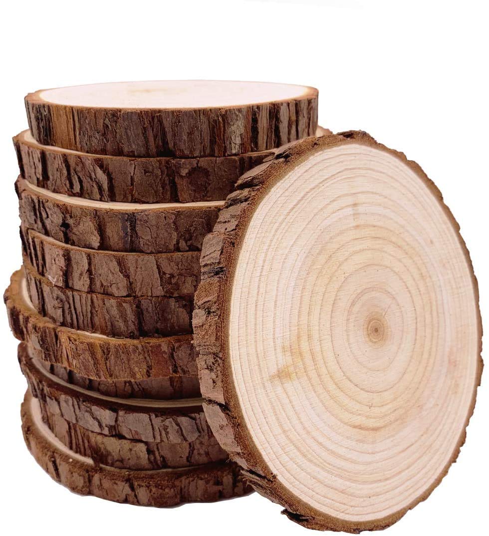 Natural Wood Slices Craft Wood Kit with Hole Wooden Circles Tree