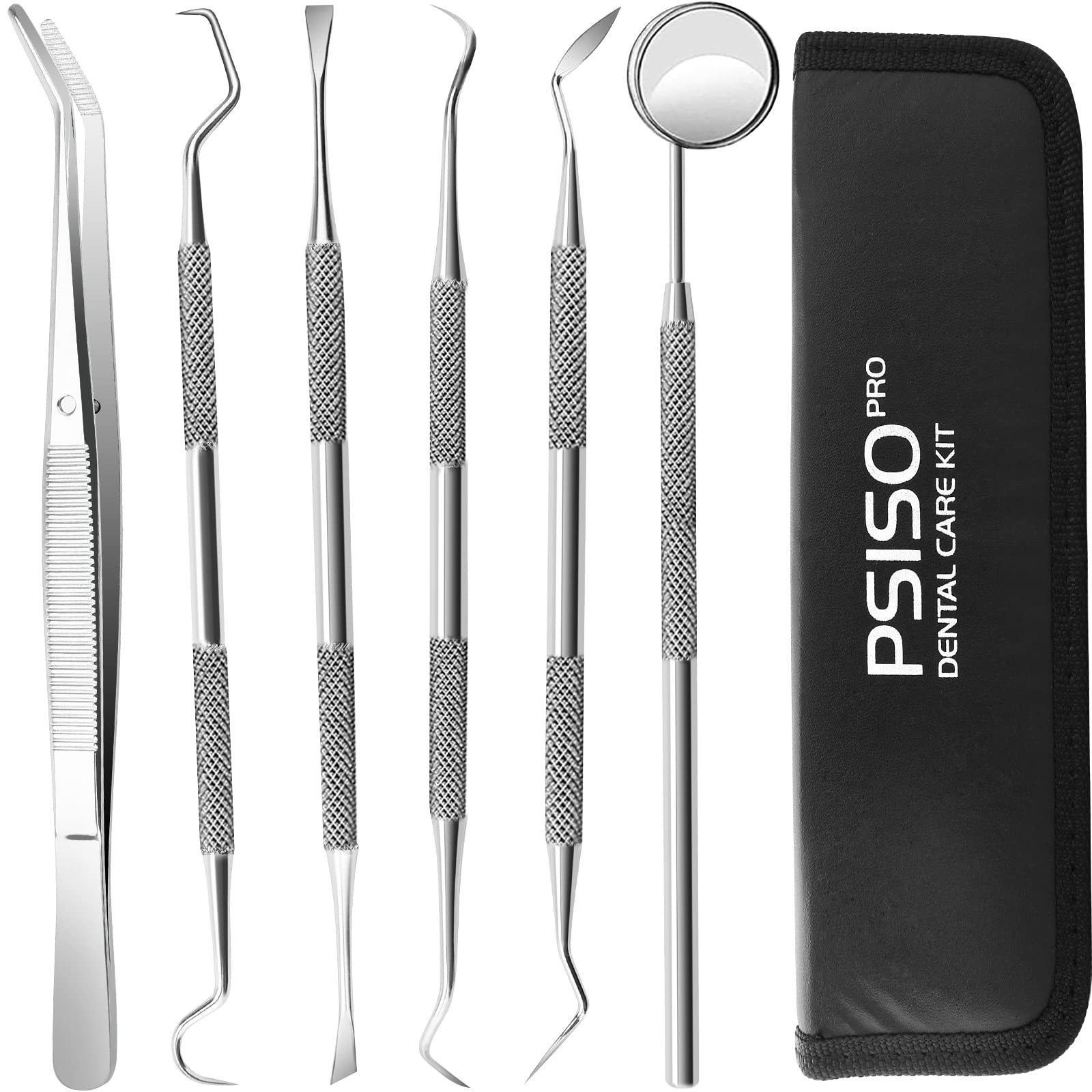 6 Pack Dental Tools, Professional Dentist Tool Hygiene Kit, Stainless Steel  Tooth Scraper Cleaning Plaque and Tartar Remover for Teeth, Dental Picks  Scaler Oral Care Tools Set (with Case) 6 Pack Dental