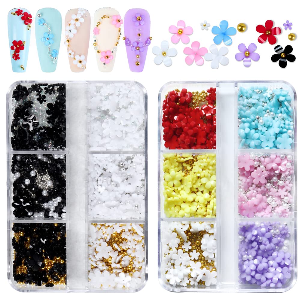 3D Flower Nail Charms TEOYALL 2 Boxes Acrylic Flowers for Nail Art Design  with Gold and Silver Caviar Beads Manicure DIY Decorations (2 Multicolor)