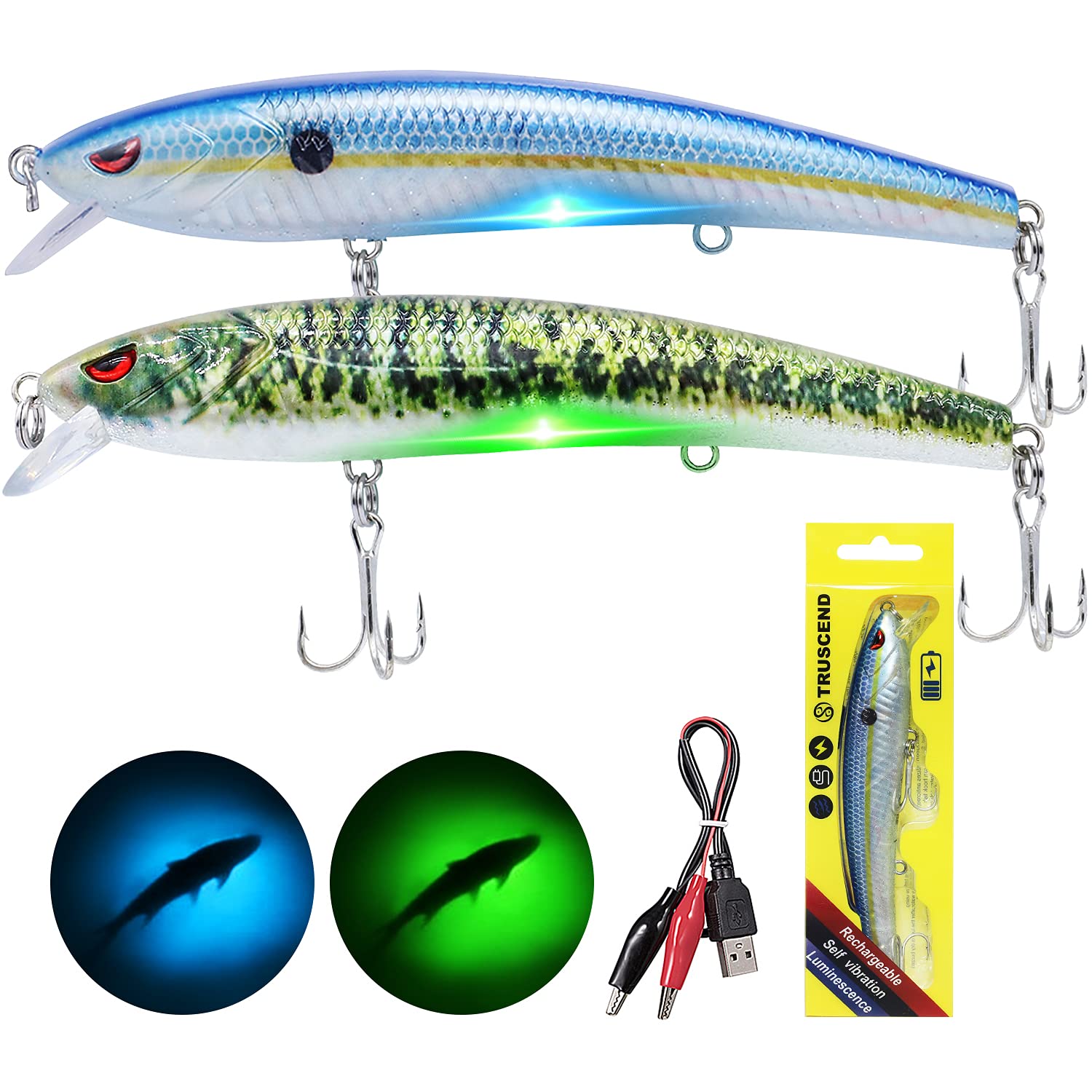 TRUSCEND Electronic Twitching Jerkbait LED Robotic Minnow Fishing Lure USB  Rechargeable Long Cast Slow Sinking Bass Lures Lighted Fishing Lures for  Freshwater Saltwater Ice Fishing Night Fishing C-5 0.9oz BlueGreen