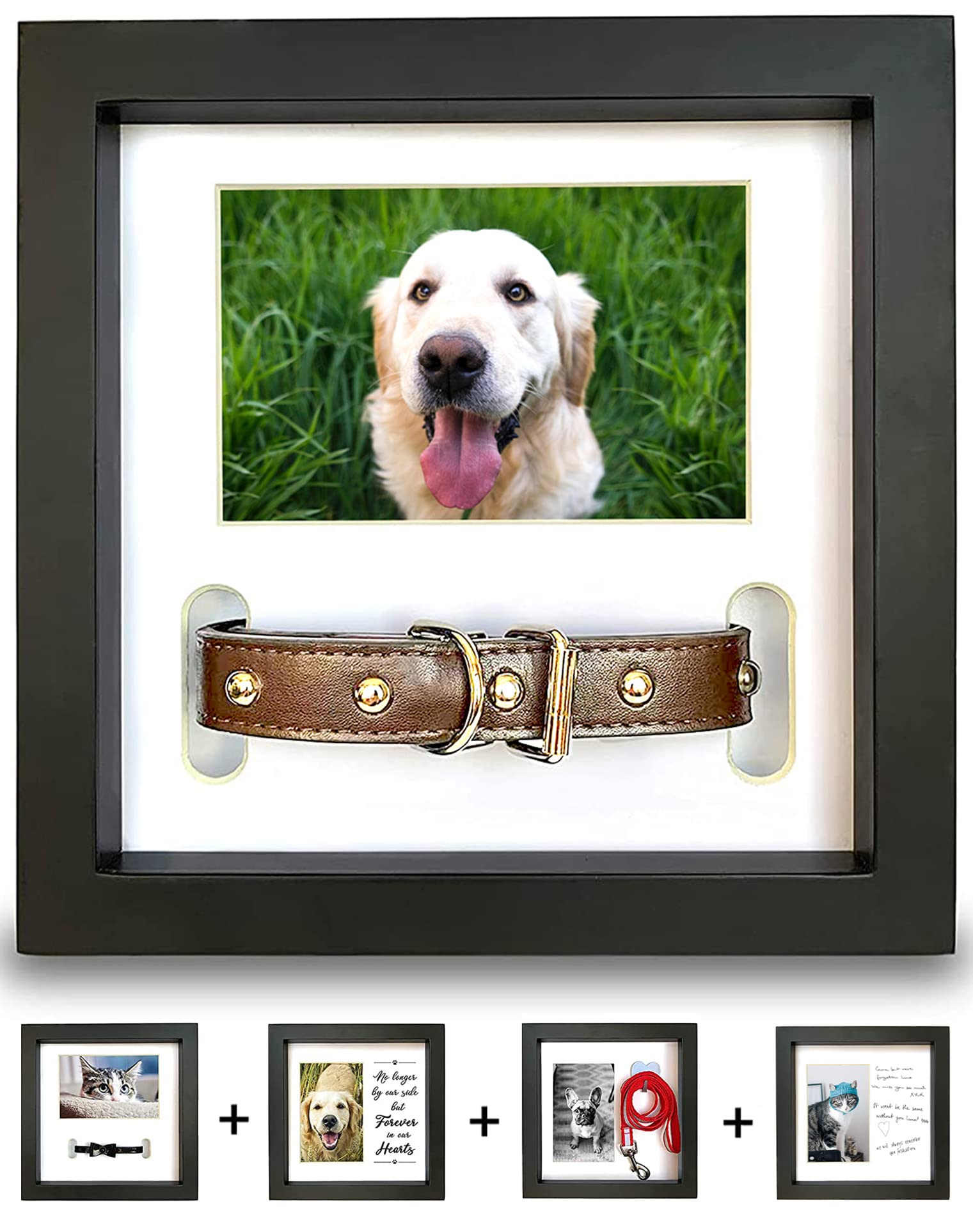 PAWCEPTIVE Dog Memorial Picture Frame with 5 Display Options- Dog Collar  Memorial Frame Gift - Cat or Dog Pet Loss Gift for a Grieving Friend - Pet  Remembrance Gift and Sympathy Photo Keepsake