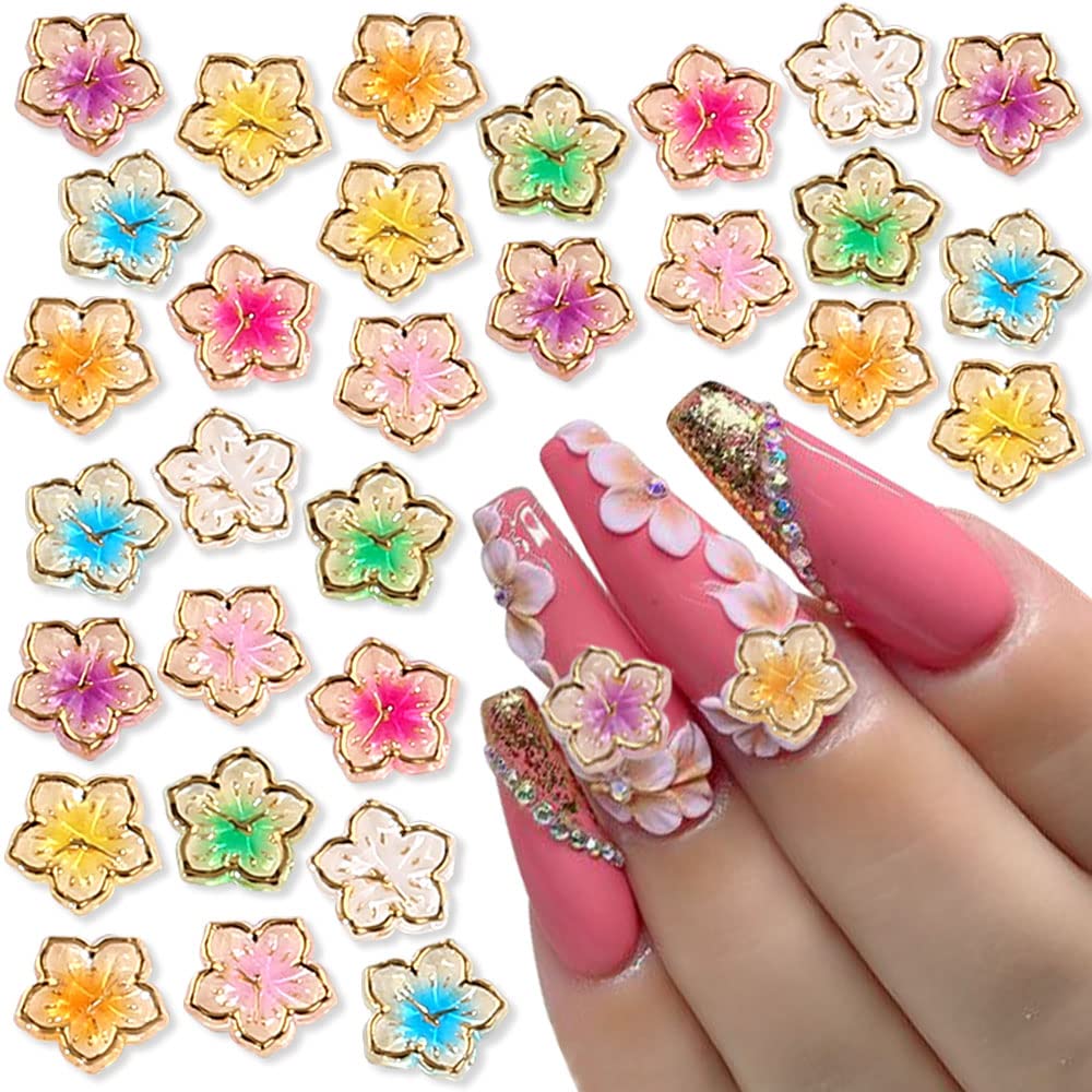 Dornail 30PCS Acrylic Flower Nail Charms 3D Gold Edge Flower Resin Charms  for Nails Mixed Colorful Flower Petals Nail Art Charms Floral Nail Charm  DIY Nail Supplies for Women Girls Nail Decorations