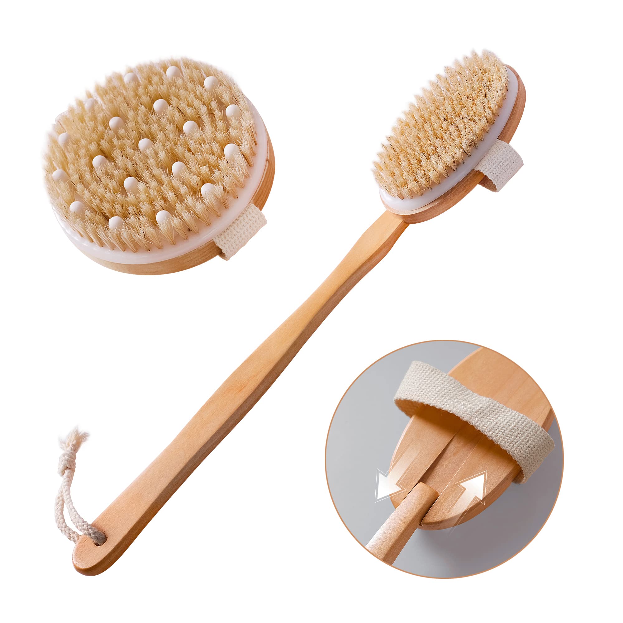 Dry Brushing Body Brush Set of 2, Natural Bristle Dry Skin Exfoliating  Brush, Long Handle Back Scrubber for Shower, Dry Brush for Cellulite and  Lymphatic Massage, Improve Blood Circulation 3 Count (Pack of 1)