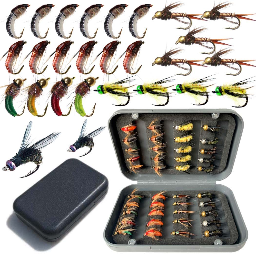 Fly Fishing Flies Kit Fly Assortment Trout Bass Fishing with Dry/Wet Flies