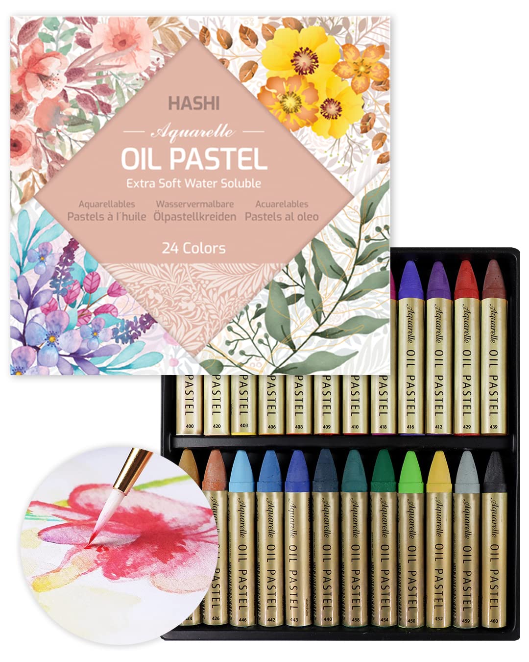 HA SHI Water Soluble Oil Pastels For Artists 24 Color Watercolor Crayons  Premium Quality Art Supplies