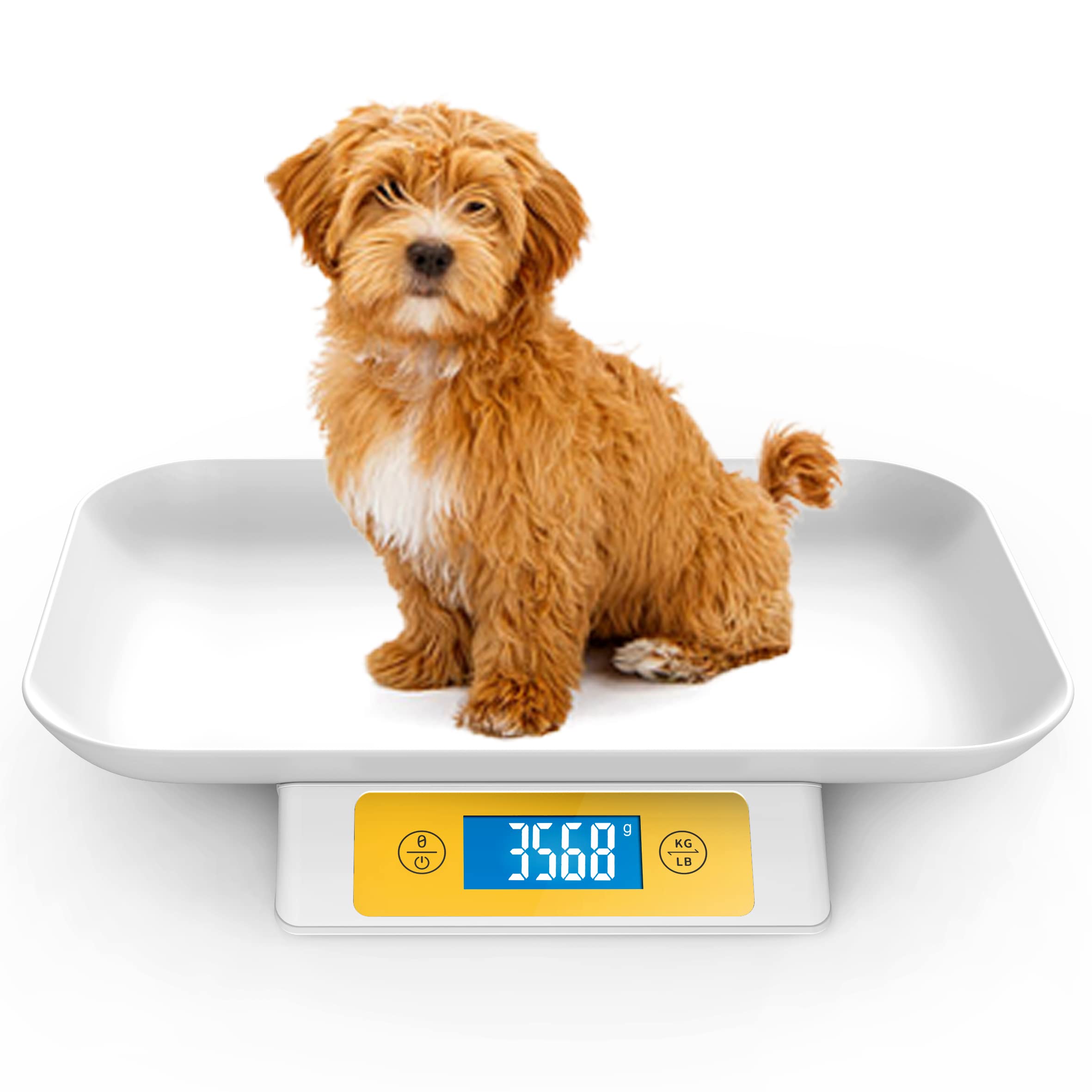 Digital Pet Scale for Puppy and Cats, Puppy Whelping Supplies Scale, Weigh  Capacity 33 lbs (0.03oz), Removable Tray Size 13.4 x 9.5 Inch, A Pet Scale  for Adult Cats and Small Animals Yellow