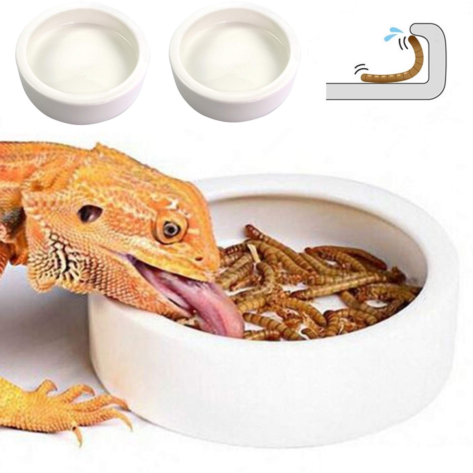 Reptile Food Dish Bowl, Worm Water Dish Small (2.75in) Lizard