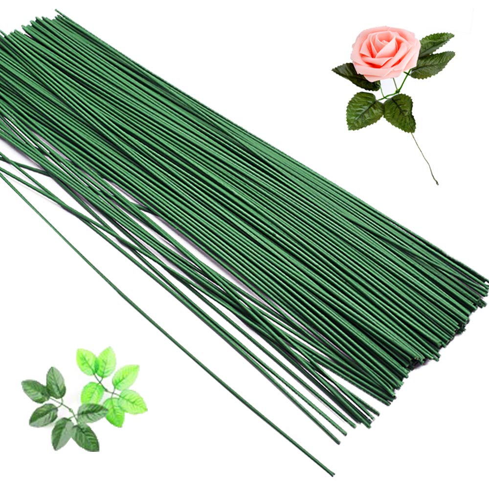 Hamiggaa 200 Pcs Floral Flower Stem Wire 16 Inch 22 Gauge Flower Paper  Wrapped Wire Green Crafting Floral Stem for Flower Arrangements DIY  Bouquent Stem Wrapping and Crafts