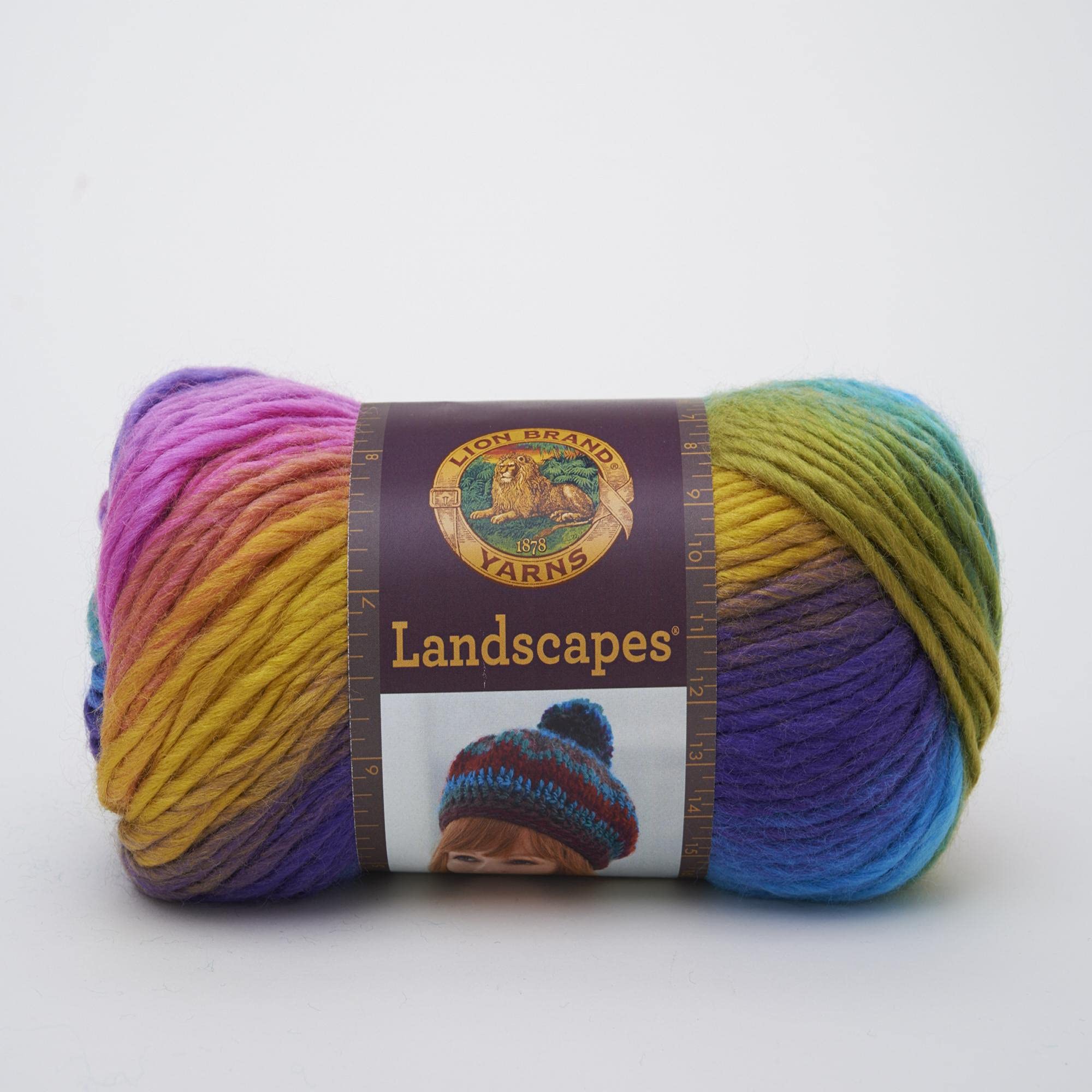 Lion Brand Yarn Landscapes Yarn Multicolor Yarn for Knitting Crocheting Yarn  1-Pack Boardwalk Boardwalk 1 Pack