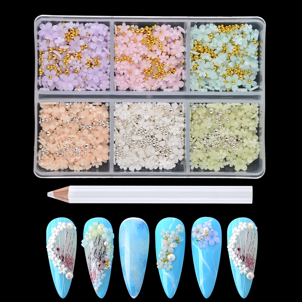 3D Flower Nail Charms TEOYALL 2 Boxes Acrylic Flowers for Nail Art Design  with Gold and Silver Caviar Beads Manicure DIY Decorations (2 Multicolor)