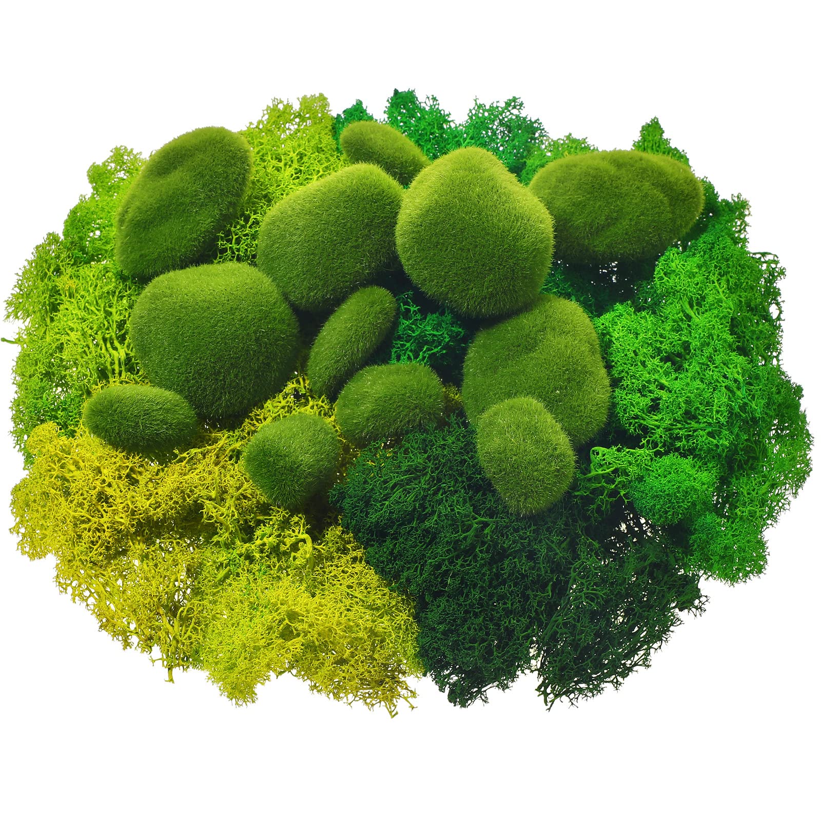 12 Pcs Artificial Moss Rock and 200 Gram Preserved Green Moss, Decorative  Faux Green Stones Assorted Size Fake Moss Balls 5 Colors Floral Moss for  Diary Garden DIY Craft Terrariums Potted Plants