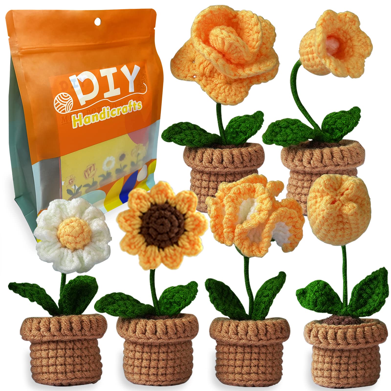  Qunland Crochet Kit for Beginners, 6 Pcs Potted