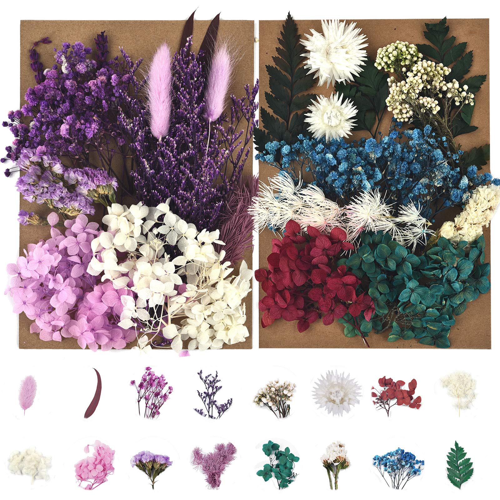 Dried Pressed Flowers for Soap Candle Making and Resin Jewelry Making  Pressed Flower (Purple Blue Set) A-blue Purple