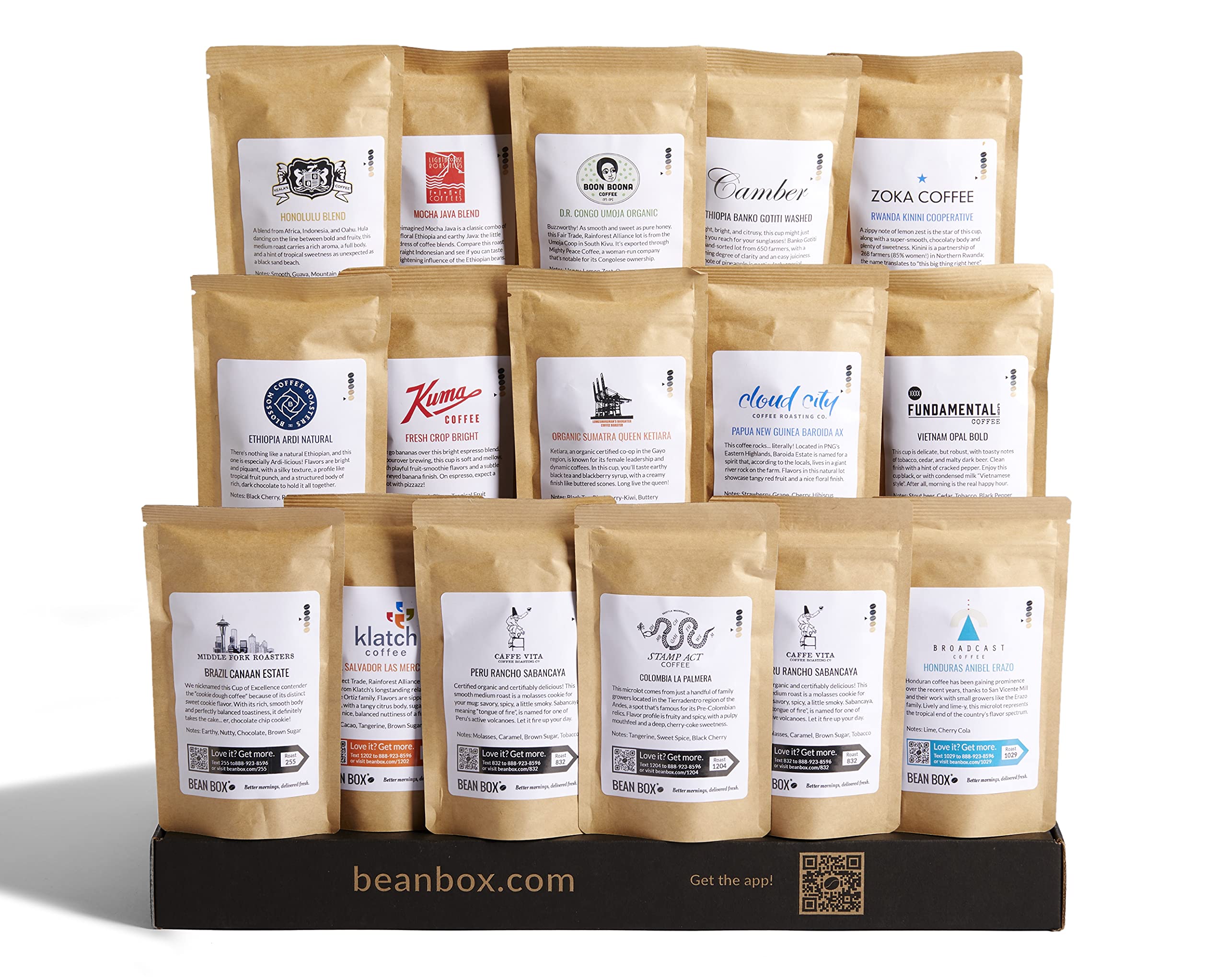  Bean Box Gourmet Coffee Sampler, Specialty Coffee Gift Basket, Coffee Gift Set, Coffee Gifts for Women and Men, Birthday Gifts for Her, Care Package