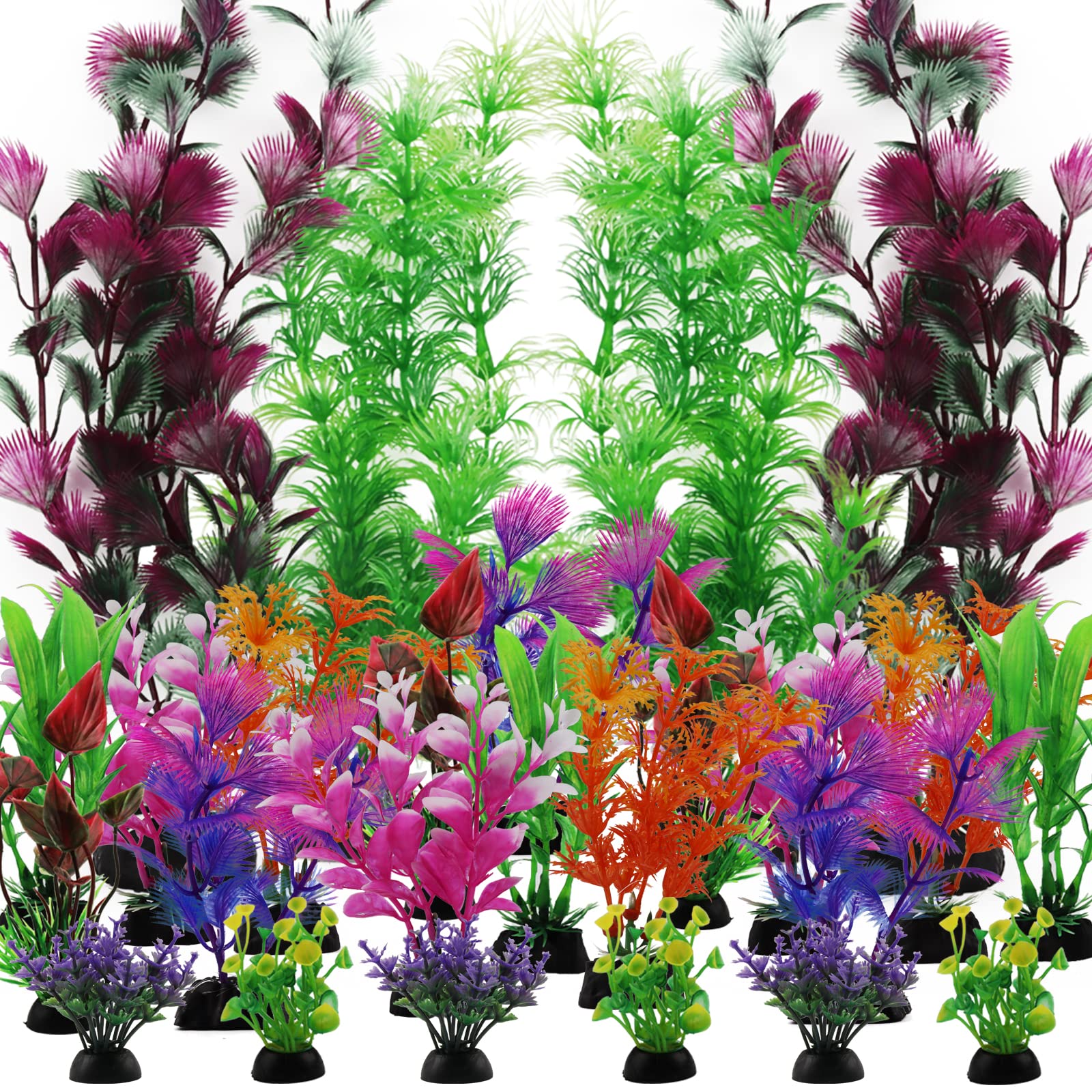 chicago peace rose plant Chicago Peace – Swiss Rose Garden Nursery