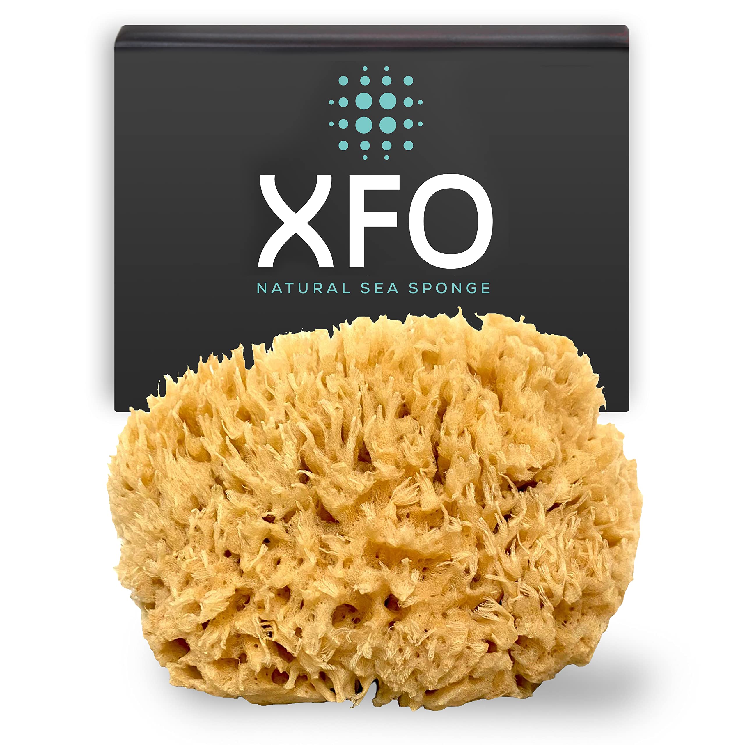 ideelz XFO Sea Sponge (Medium 4.5) All Natural Yellow Sponge Natural Loofah  Sponge for Bathing Scrubbing and Exfoliating - Great Face Scrubber and  Shower Scrubber - Grown Off The Coast of The USA