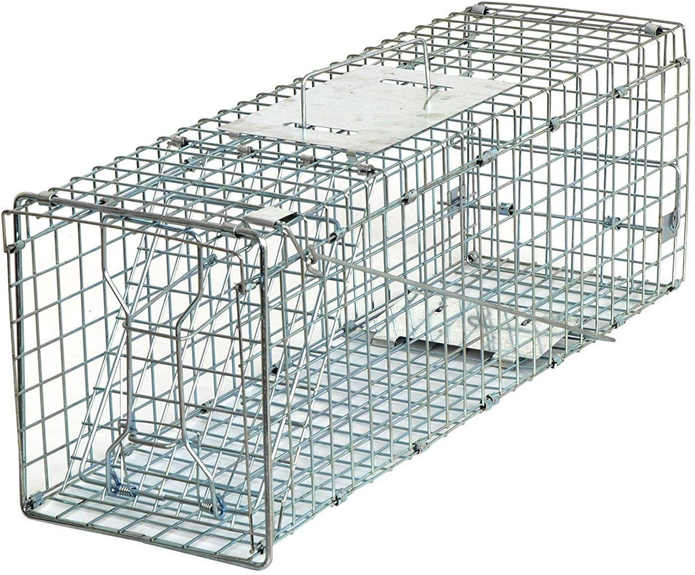 HomGarden Catch Release Humane Live Animal Trap Cage for Rabbit, Groundhog,  Squirrel, Raccoon, Mole, Gopher, Chicken, 24inch 24 inches
